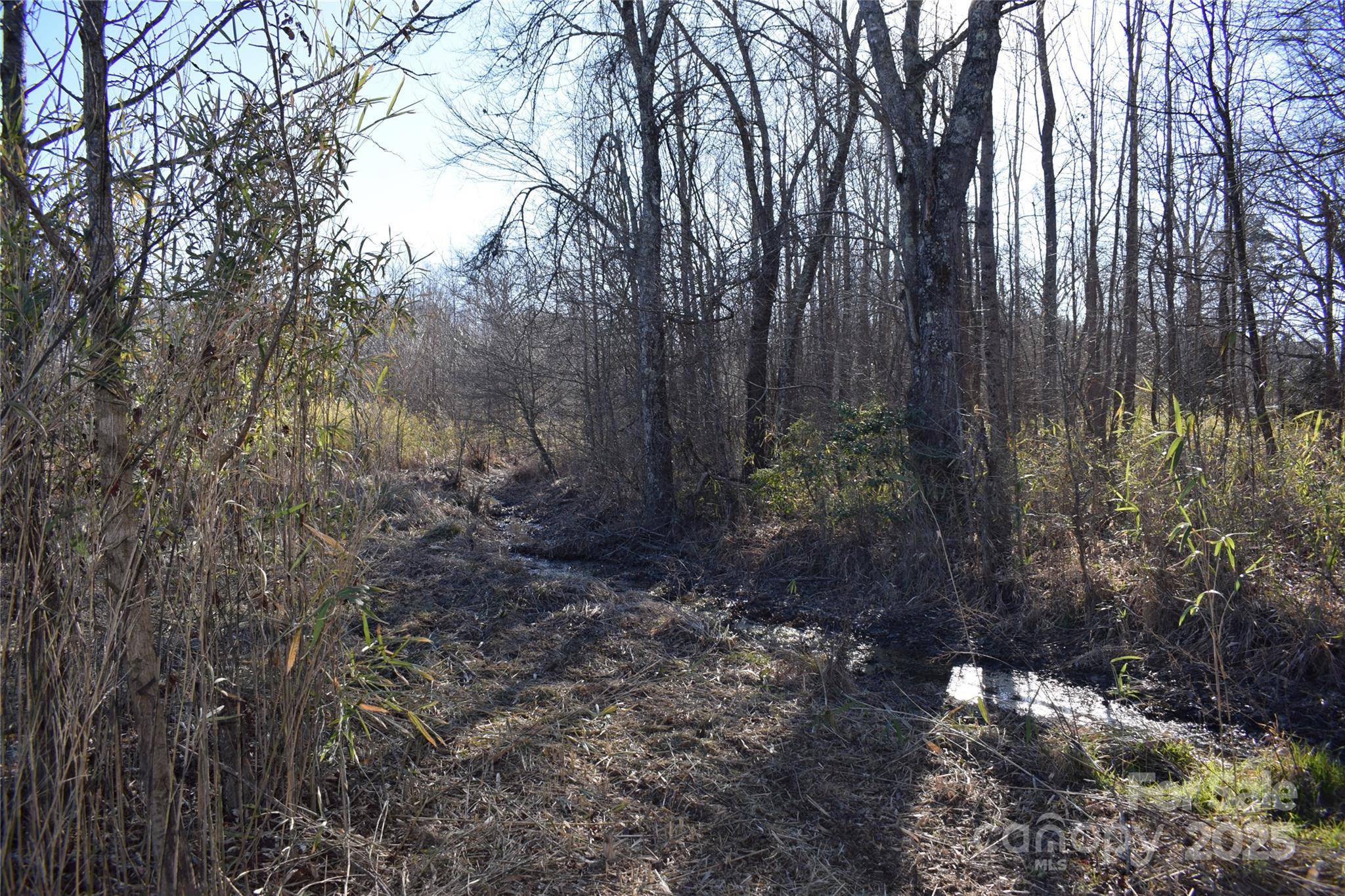 Columbus, NC 28722,0 Prince RD #Lot 4