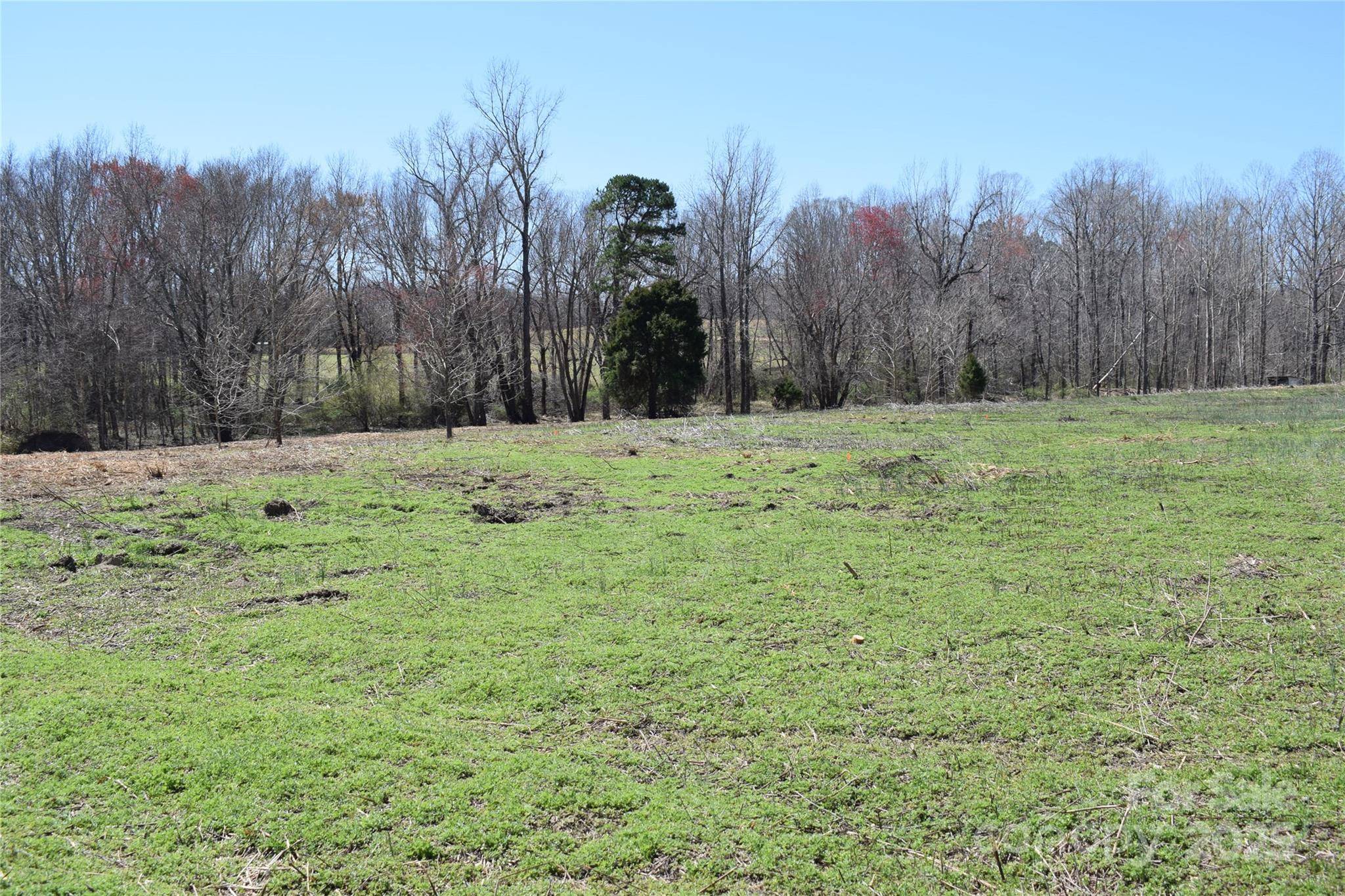 Columbus, NC 28722,0 Prince RD #Lot 4