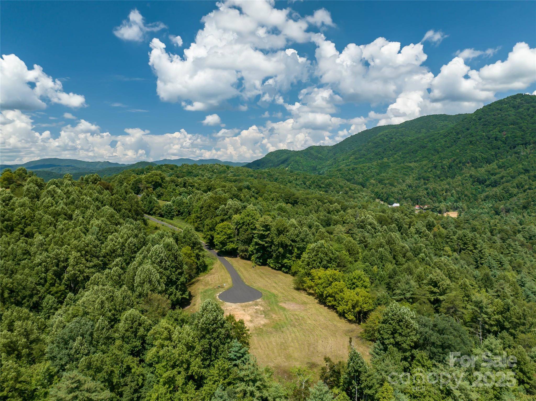 Marshall, NC 28753,101 Red Maple RUN #1