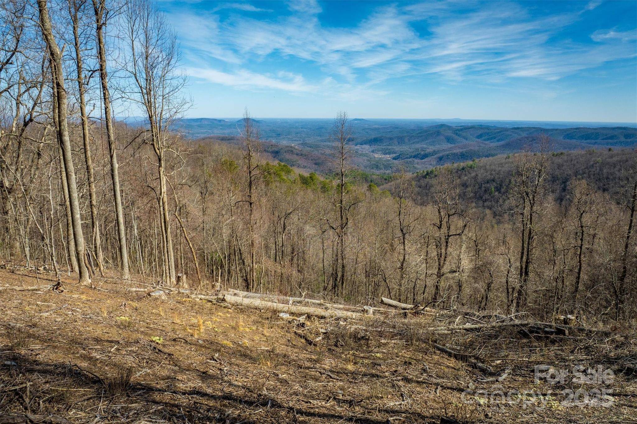 Morganton, NC 28655,7596 Walkertop Mtn Overlook DR