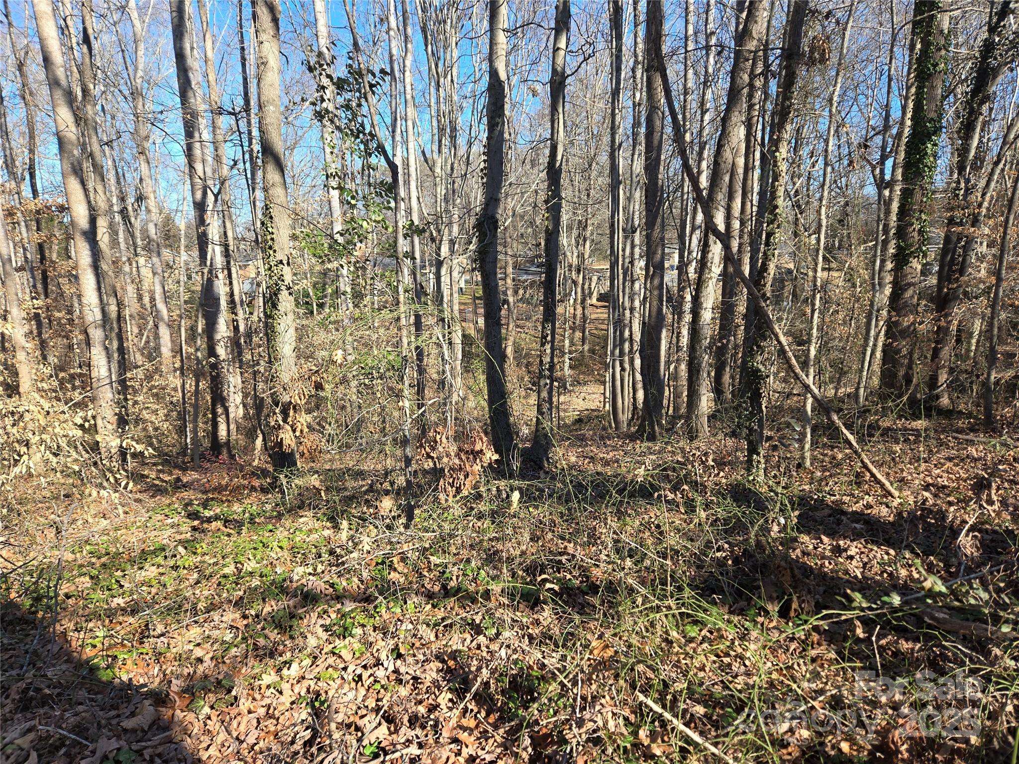 Stanley, NC 28164,136 Walking Horse RUN #19