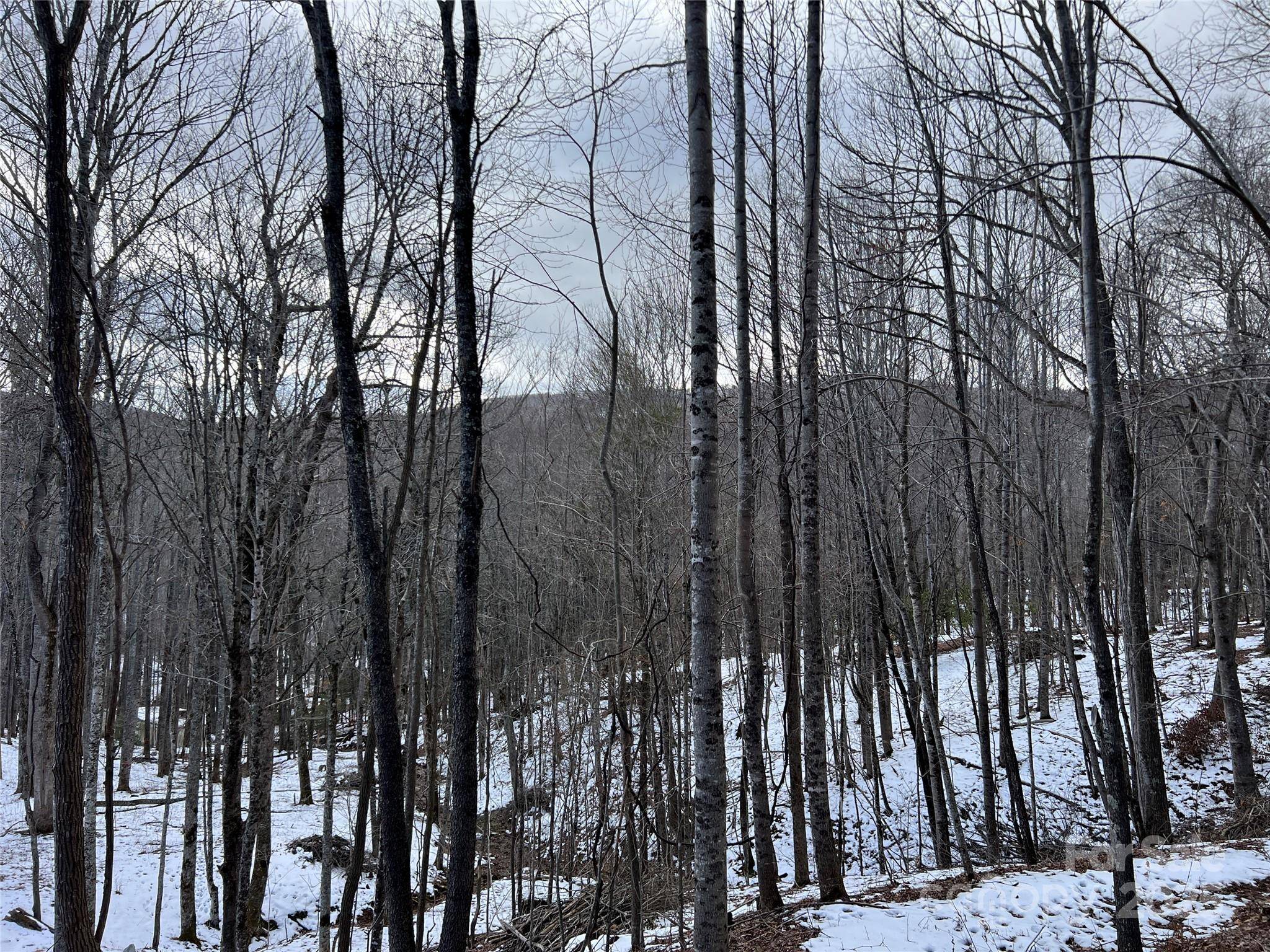 Boone, NC 28607,TBD (Lot 3) Poplar Forest DR