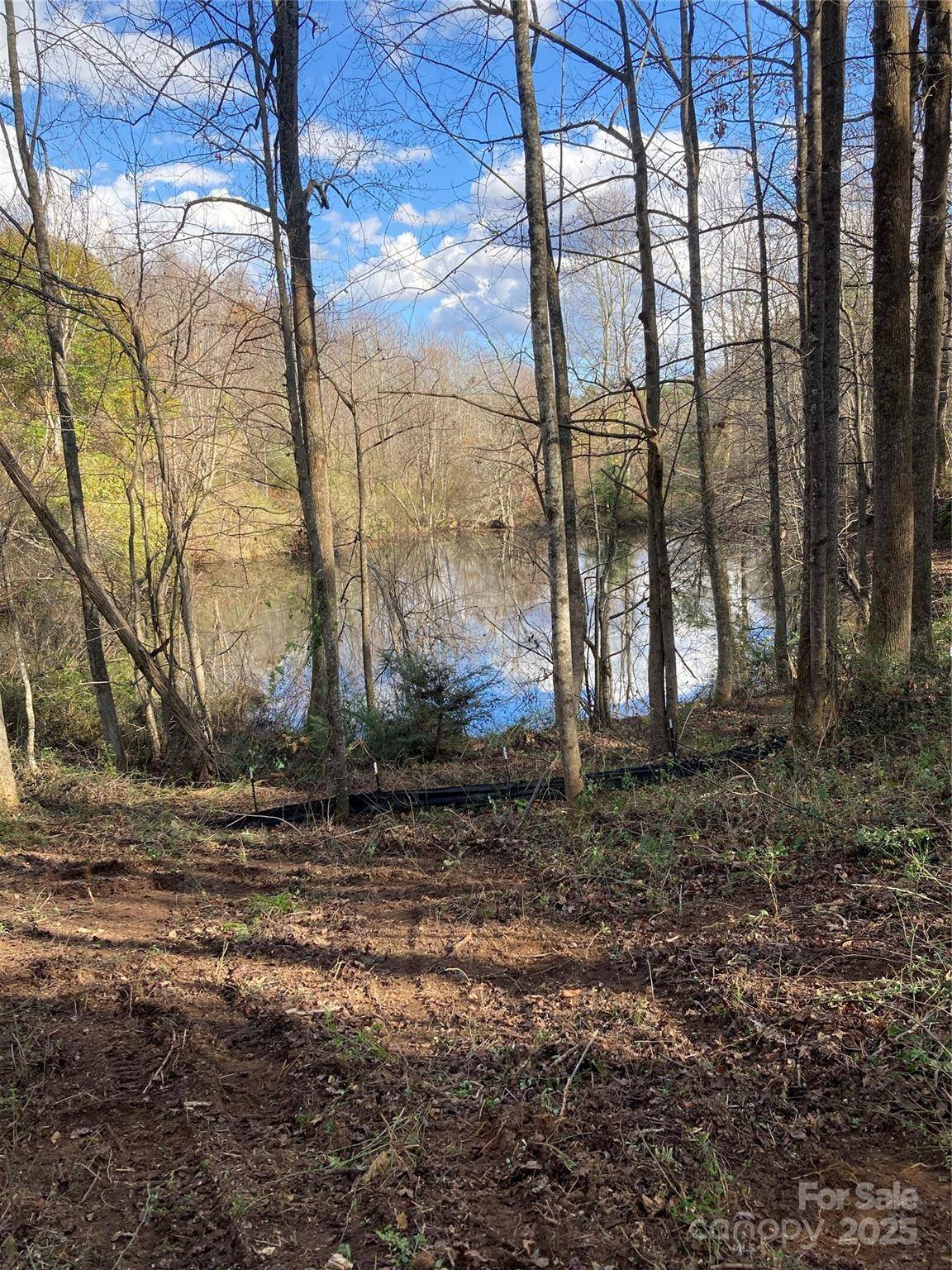 Flat Rock, NC 28731,1638 Continental Divide DR #2