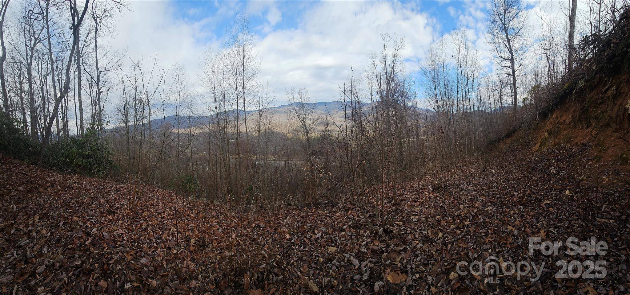 Sylva, NC 28779,LT1 Varsity DR