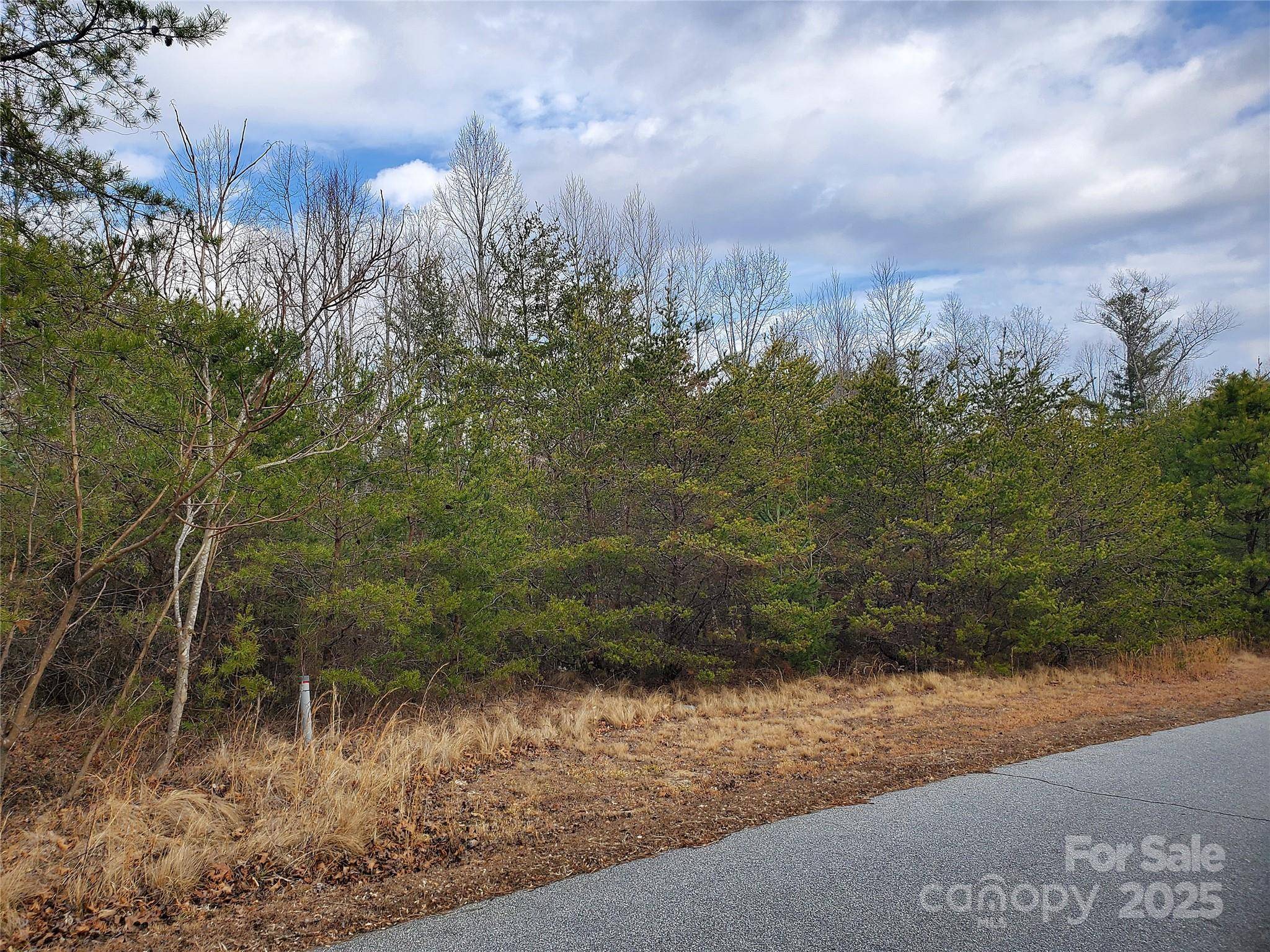 Hendersonville, NC 28792,350 Summer Orchard DR #26