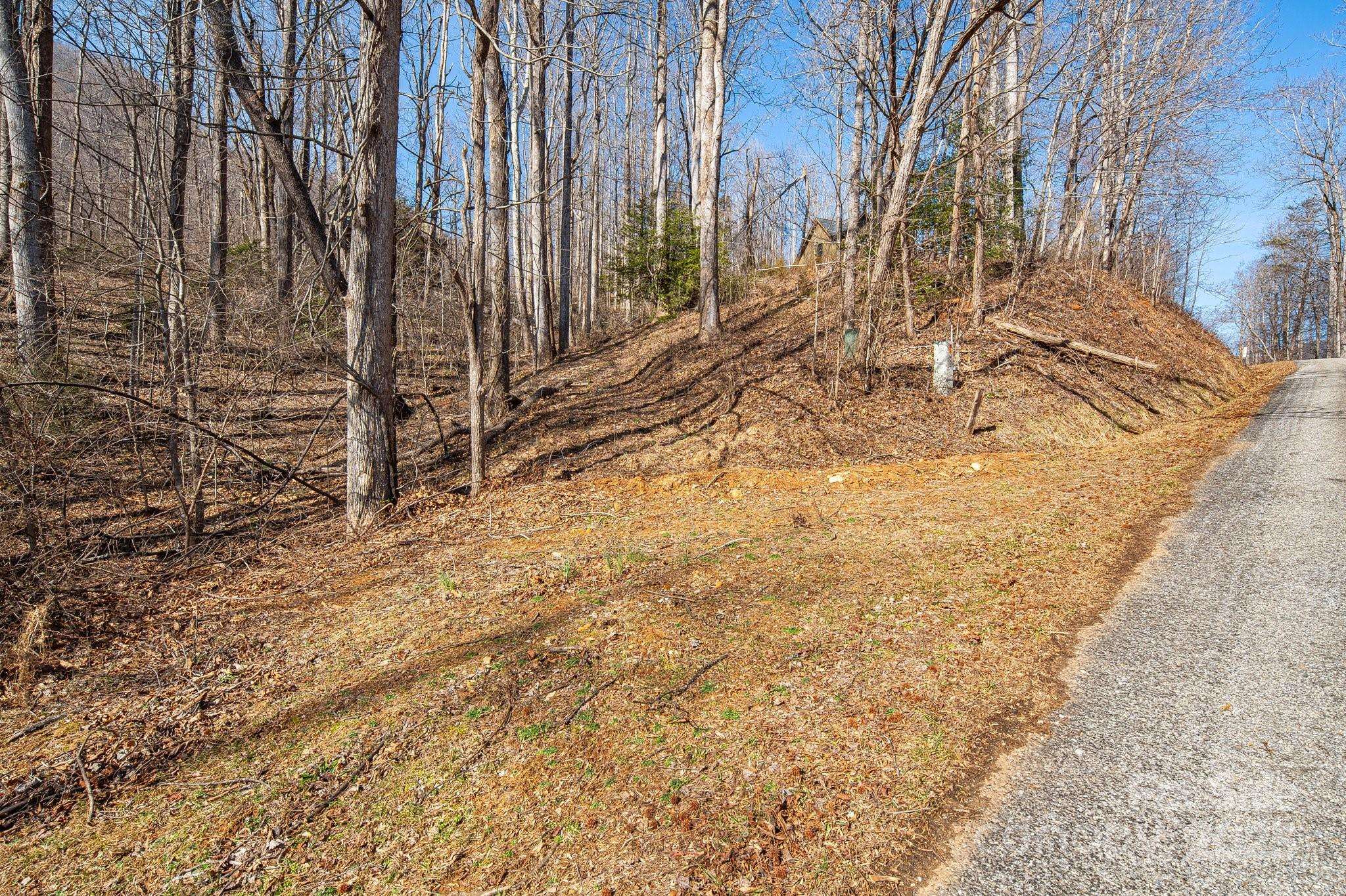 Marion, NC 28752,000 Blue Ridge DR N #164