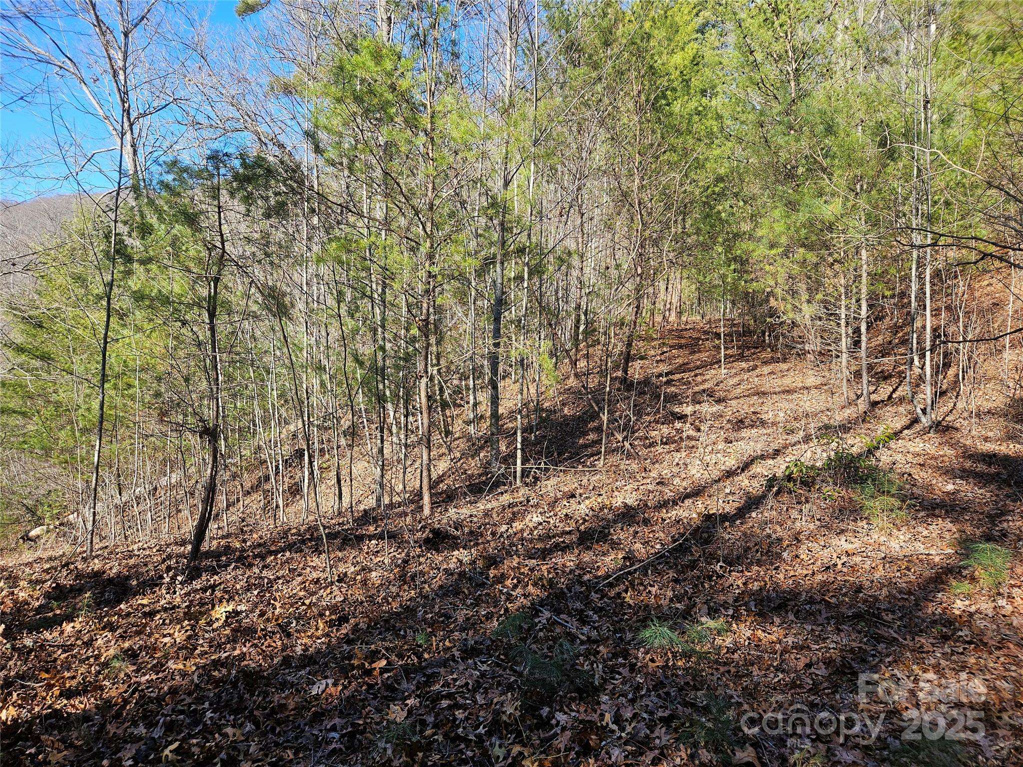 Waynesville, NC 28785,00 Wispy Willow DR #24T