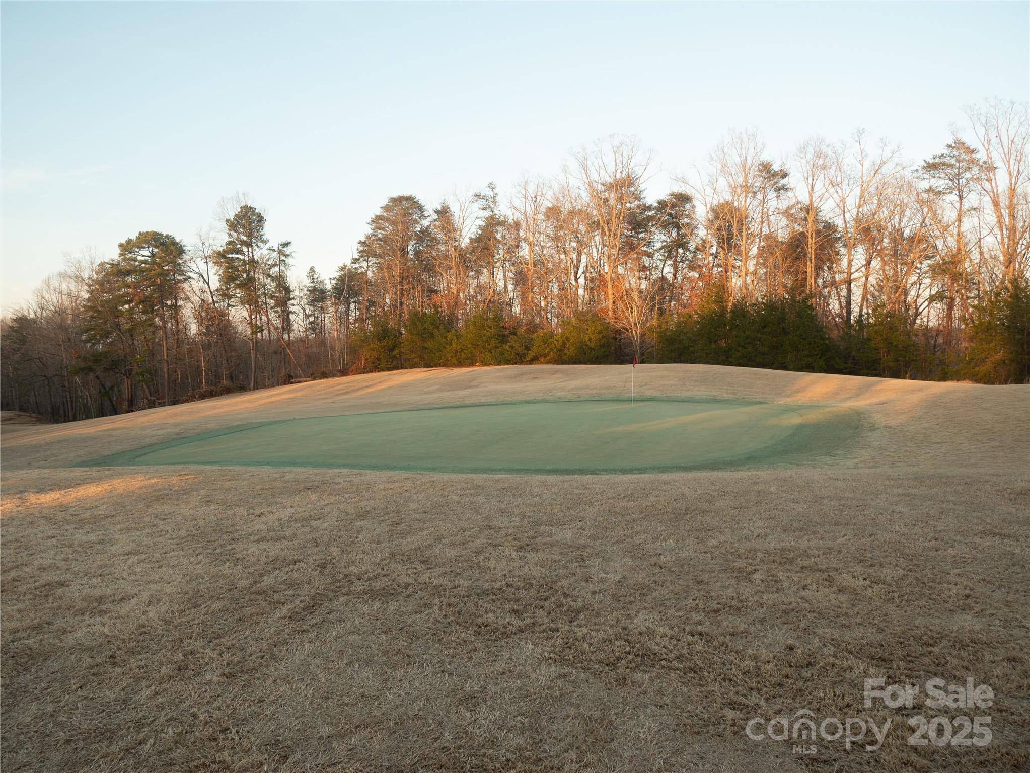 Rutherfordton, NC 28139,0 Moss DR