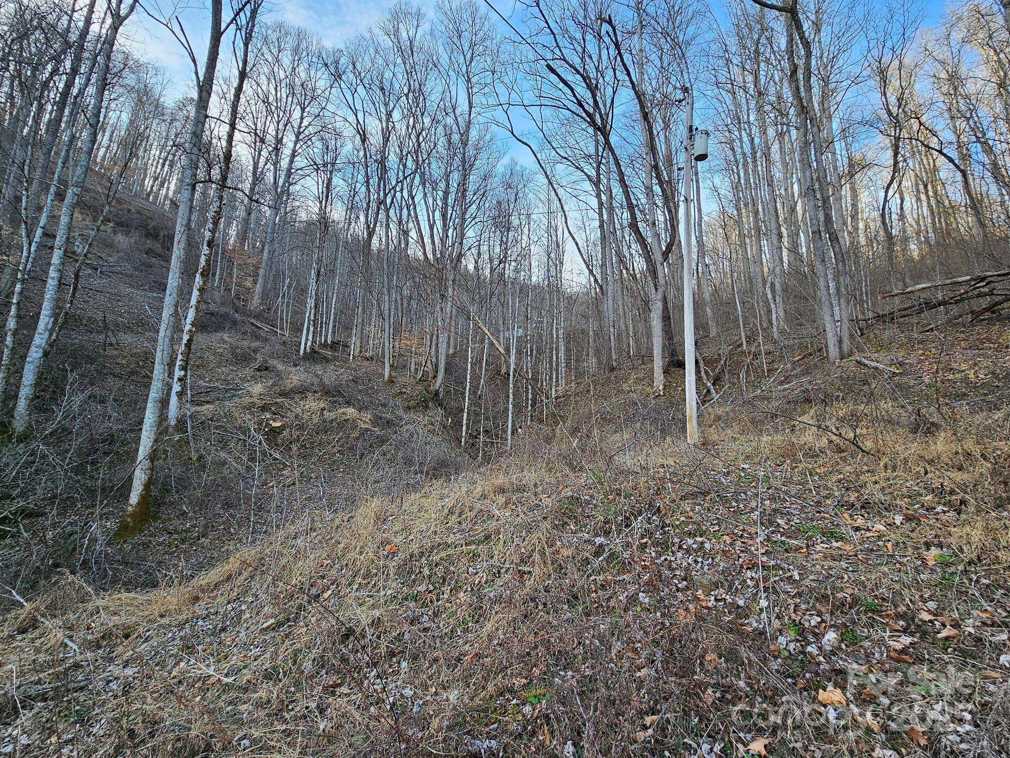 Sylva, NC 28779,80 Choke Berry RDG