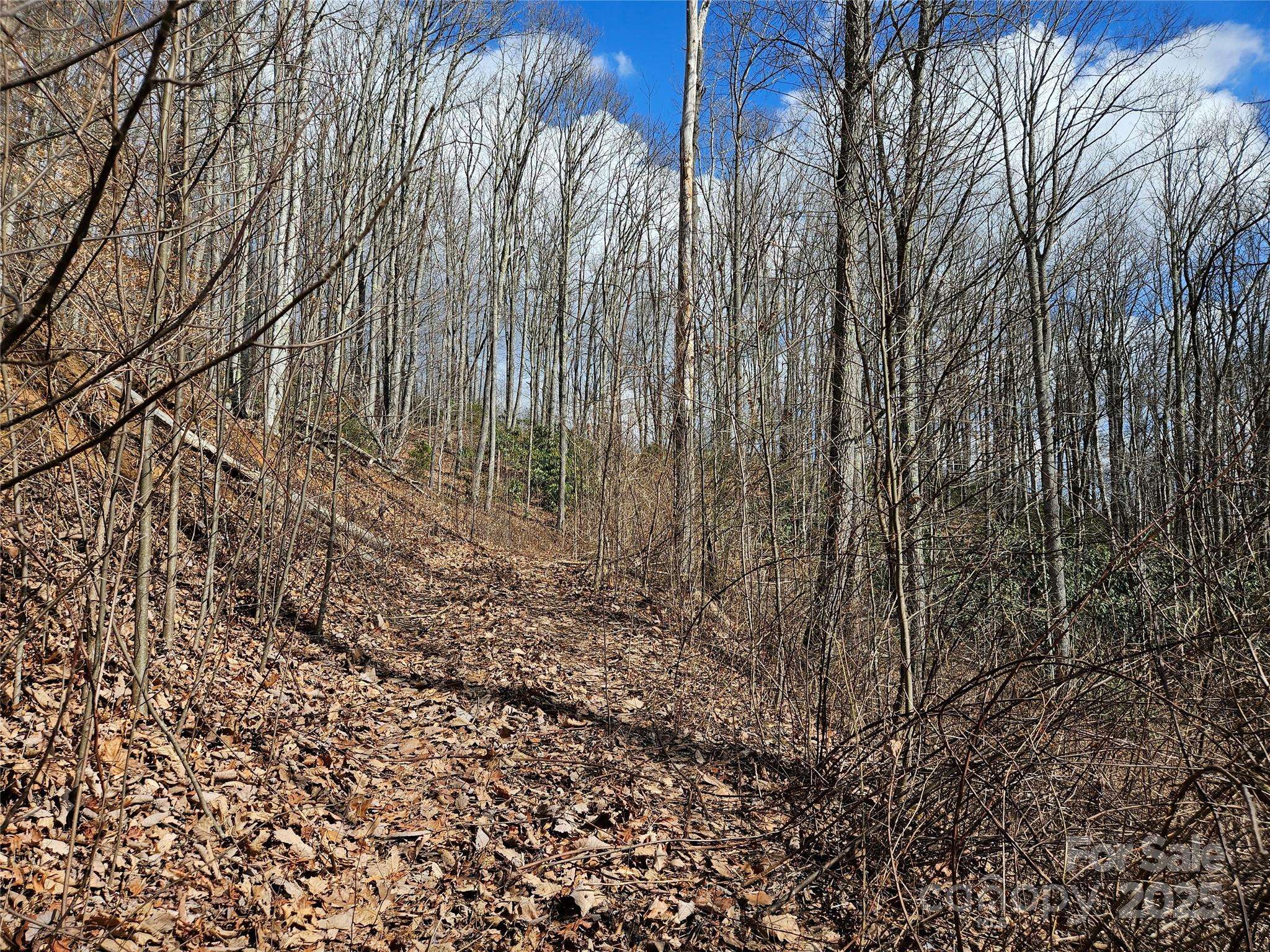 Waynesville, NC 28785,00 Wolverine CT #48
