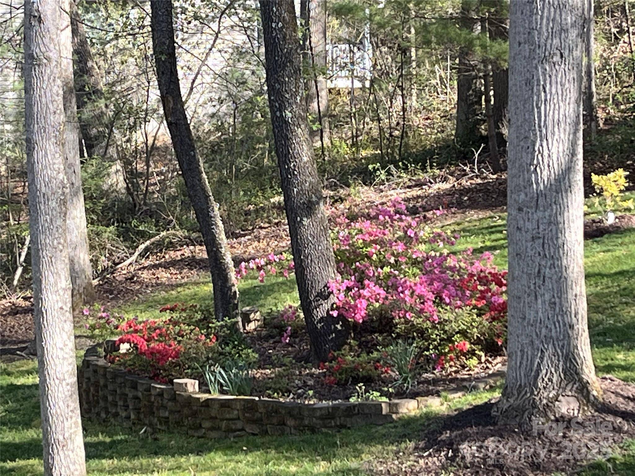 Weaverville, NC 28787,17 Morris DR