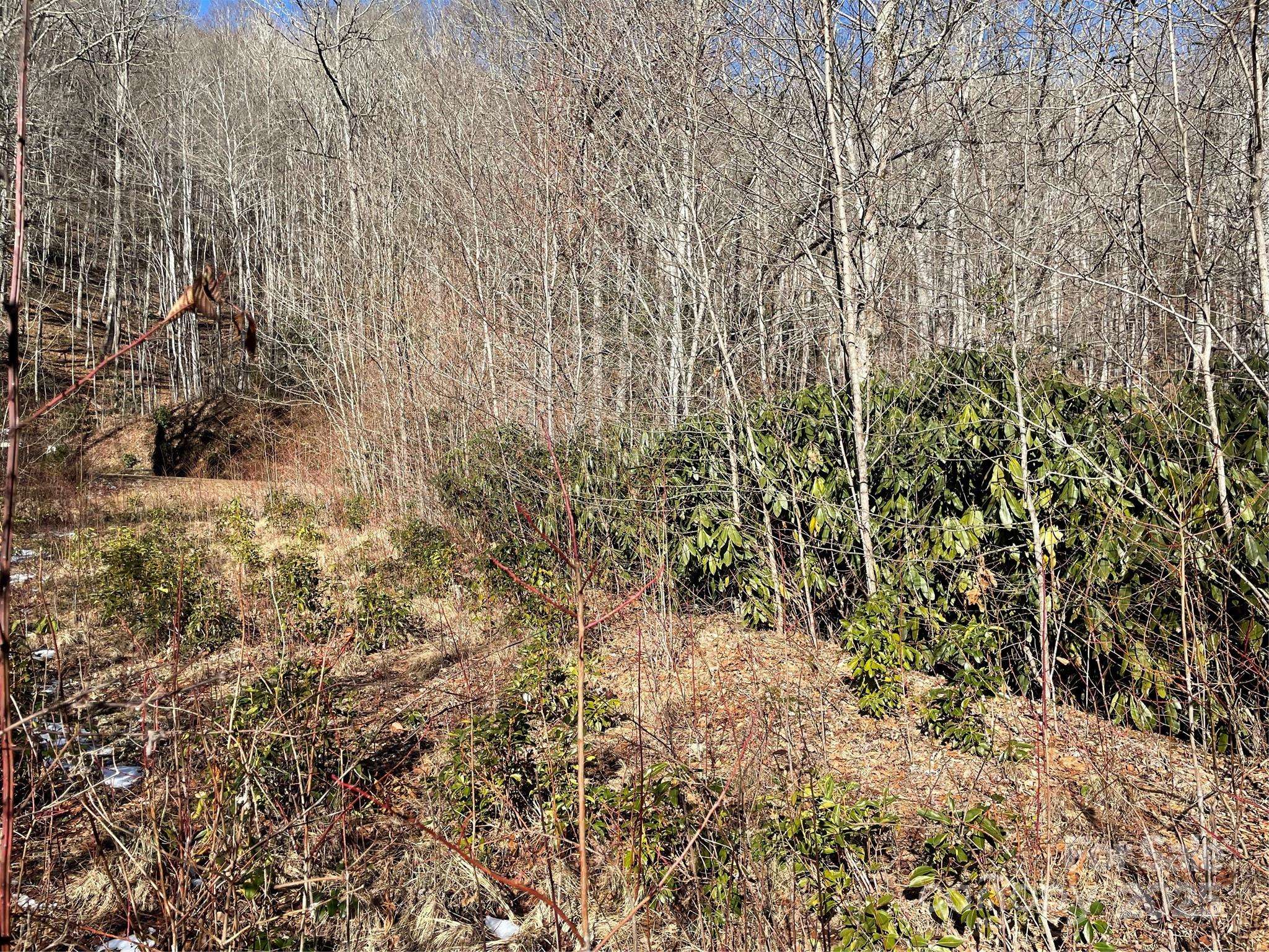 Whittier, NC 28789,0 Deep Gap VW #51