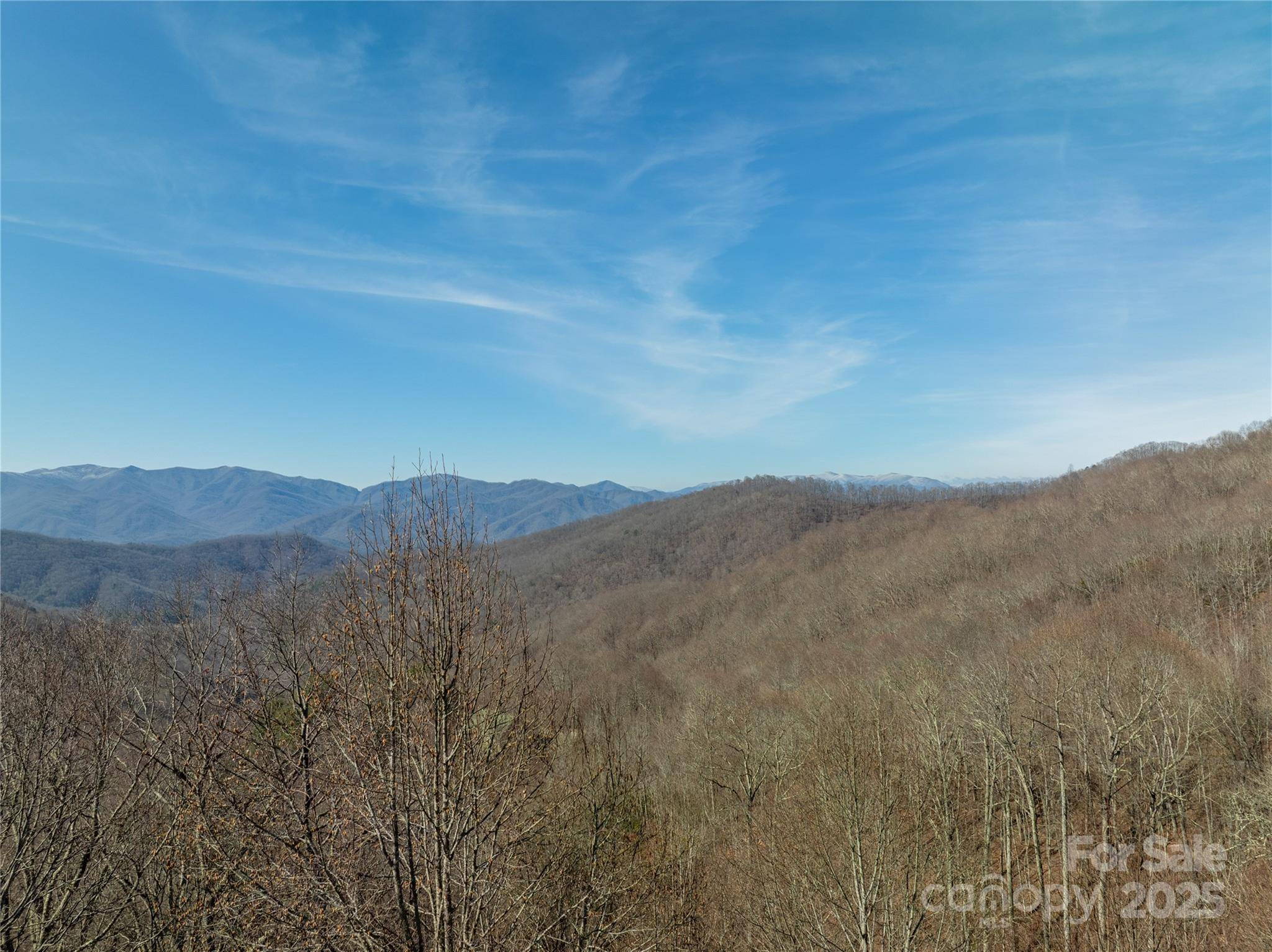 Bryson City, NC 28713,Lot 64 Grizzly RDG