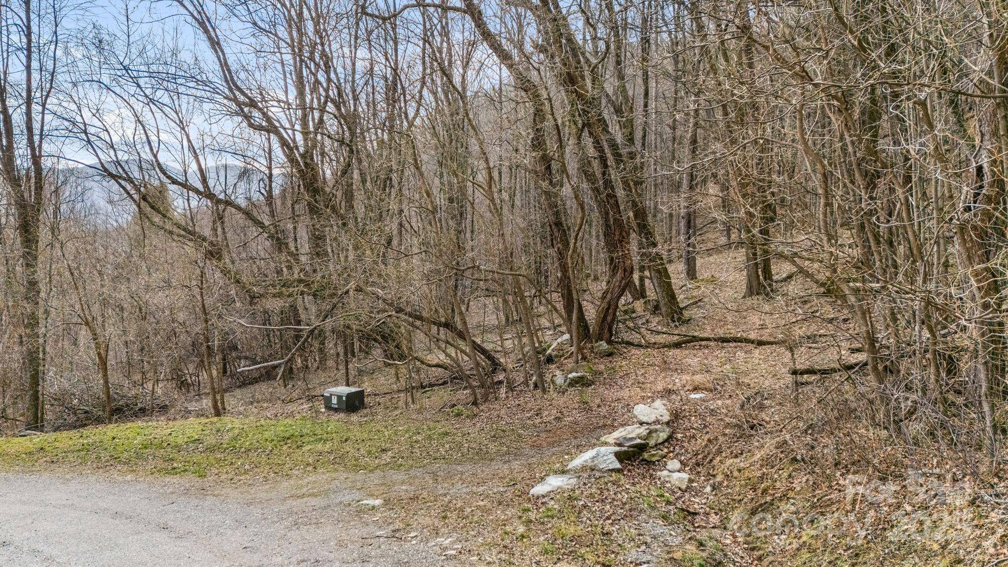 Waynesville, NC 28785,TBD Live Oak LOOP #93/95