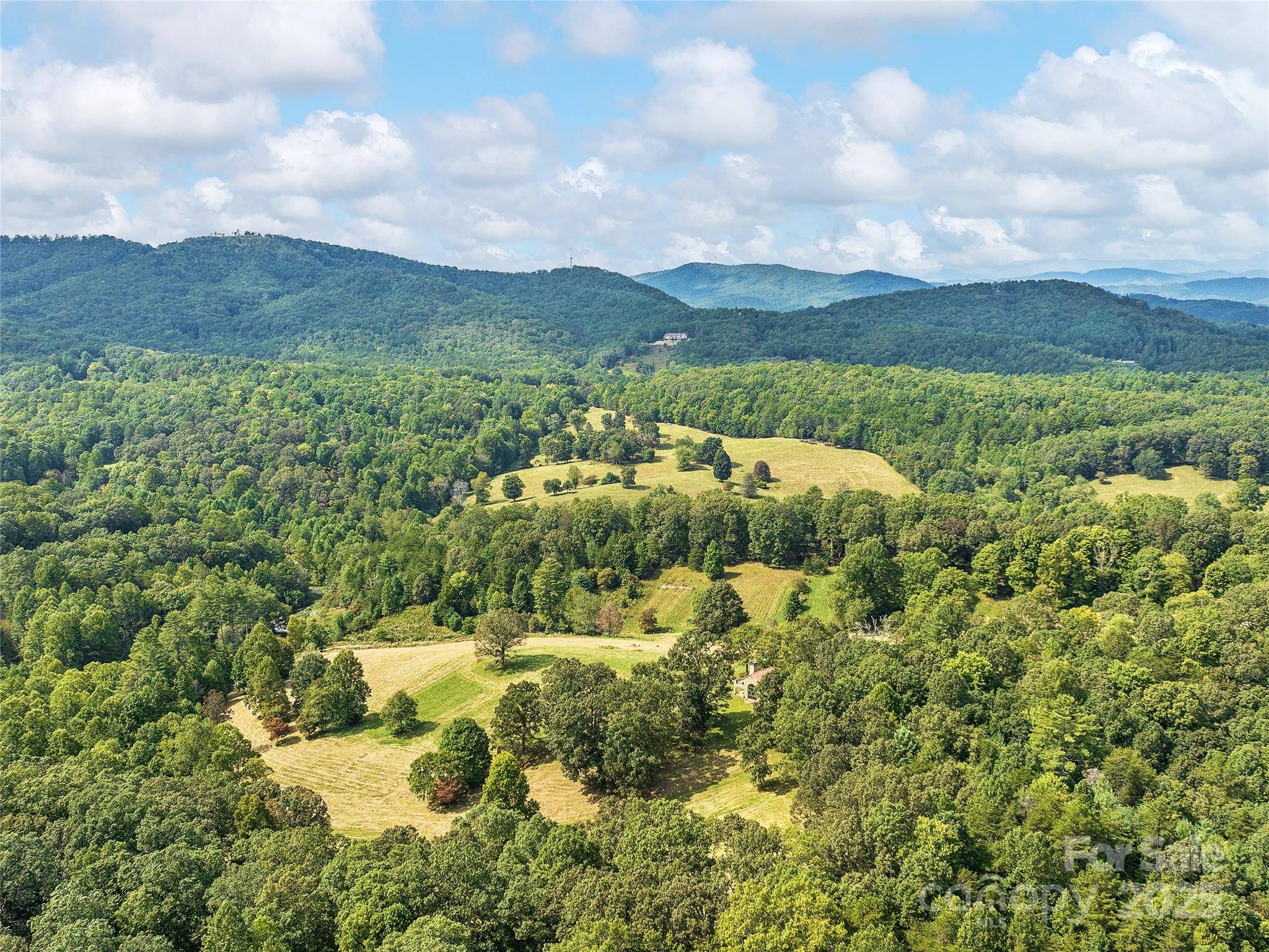 Brasstown, NC 28902,4546 Pine Log RD