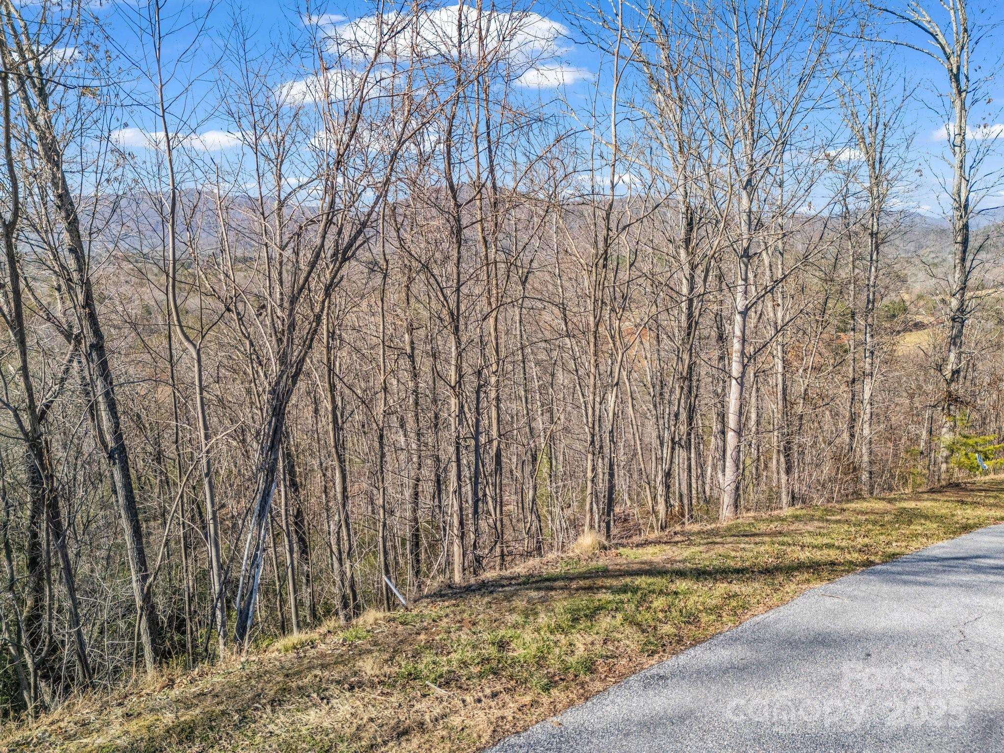 Lake Lure, NC 28746,0 Golden Ridge DR