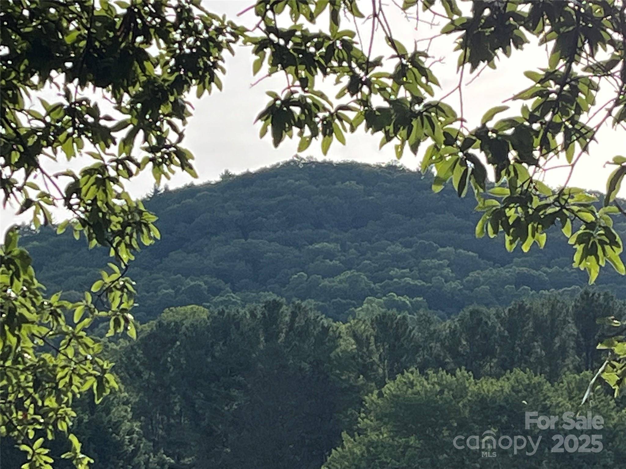 Asheville, NC 68805,794 New Haw Creek RD