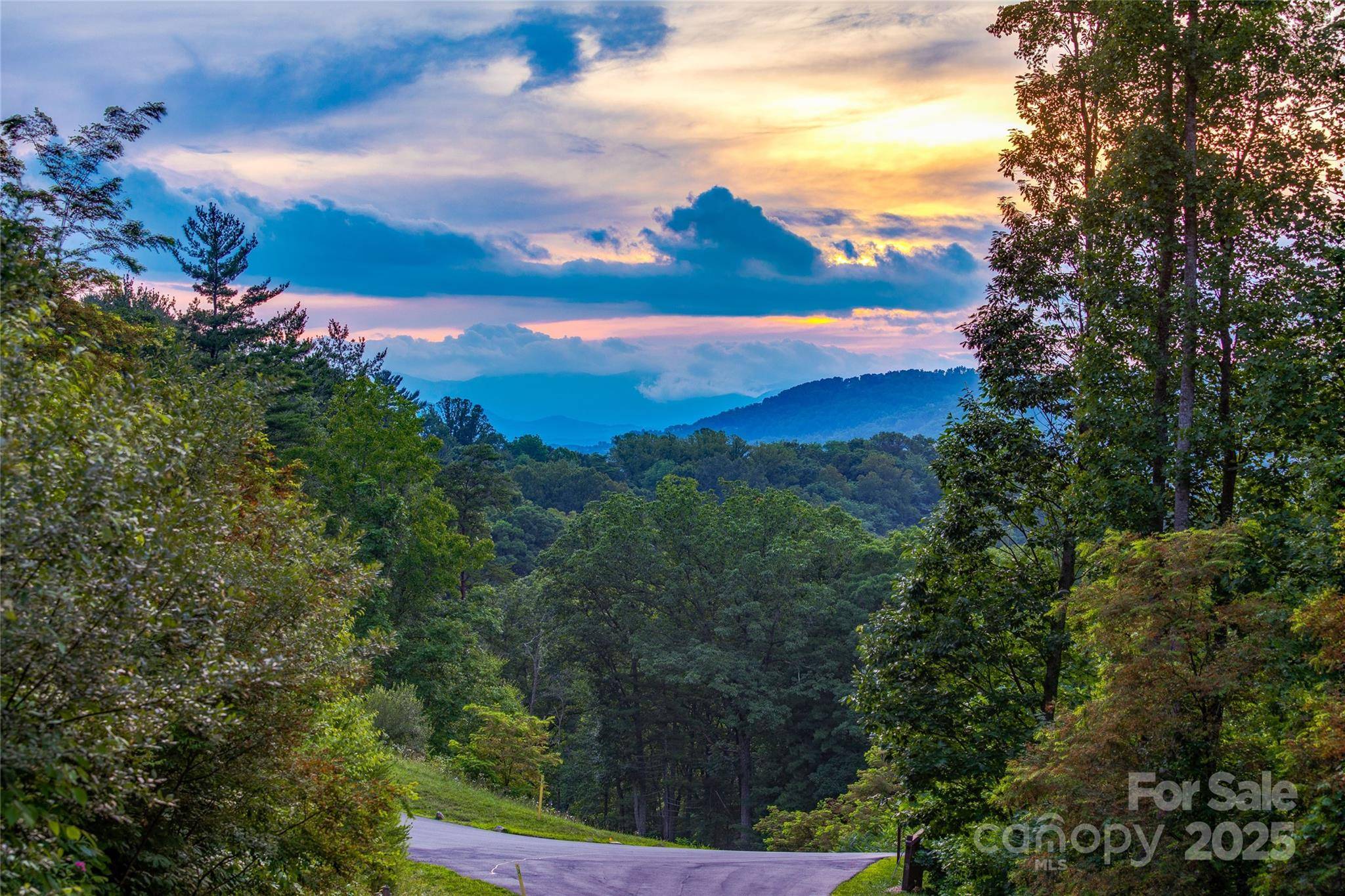 Asheville, NC 28804,48 Longspur LN #58