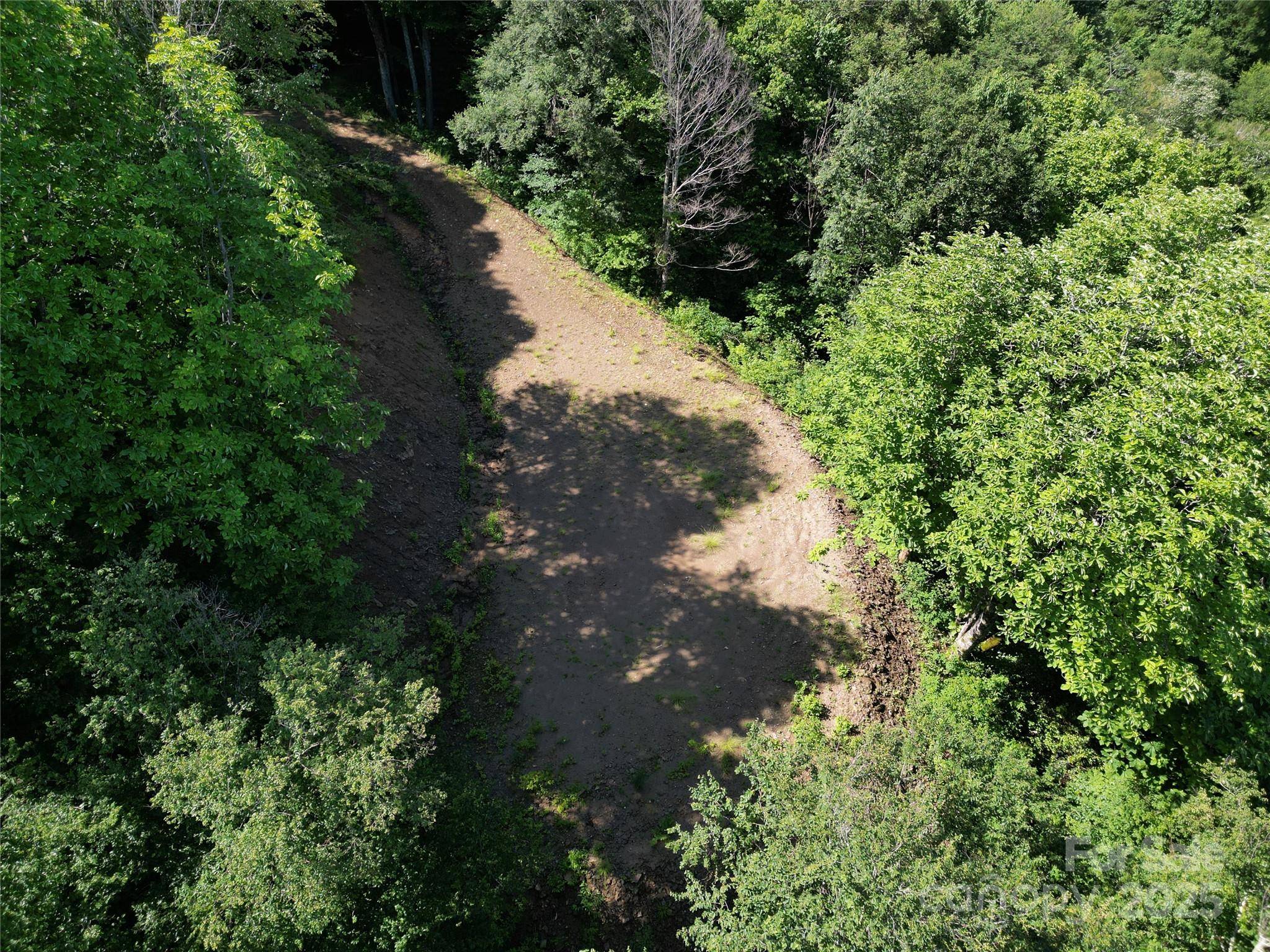 Maggie Valley, NC 28751,3716 Plott Balsam RD #77