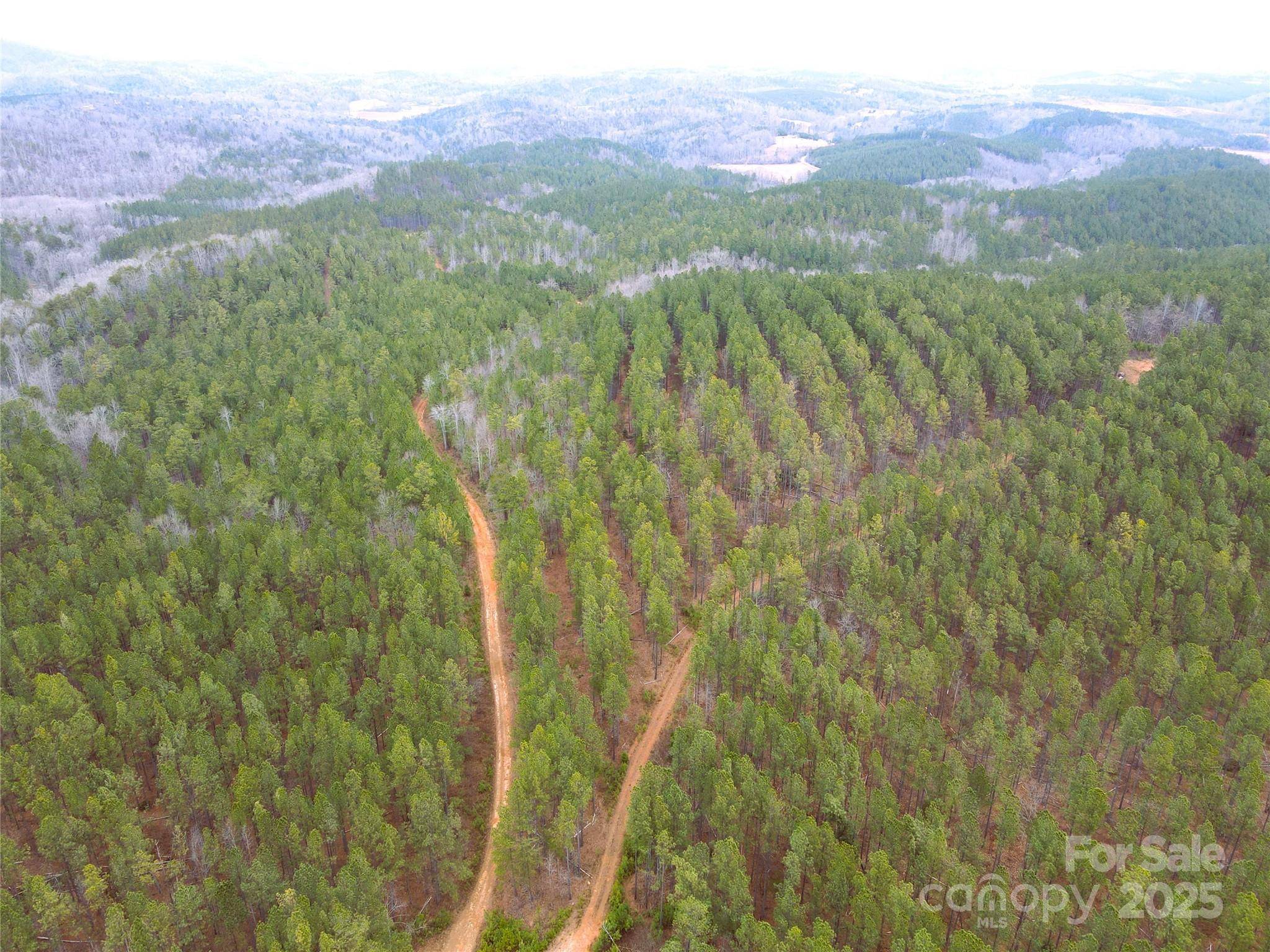 Rutherfordton, NC 28139,01 Clark RD