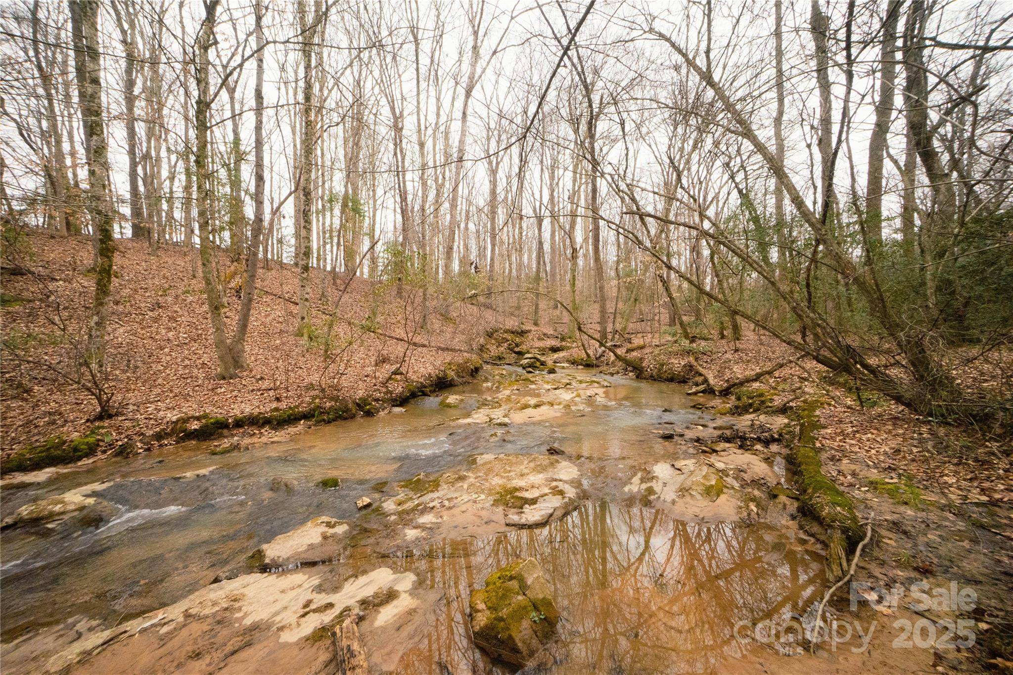 Hamptonville, NC 27020,351 York Spann RD