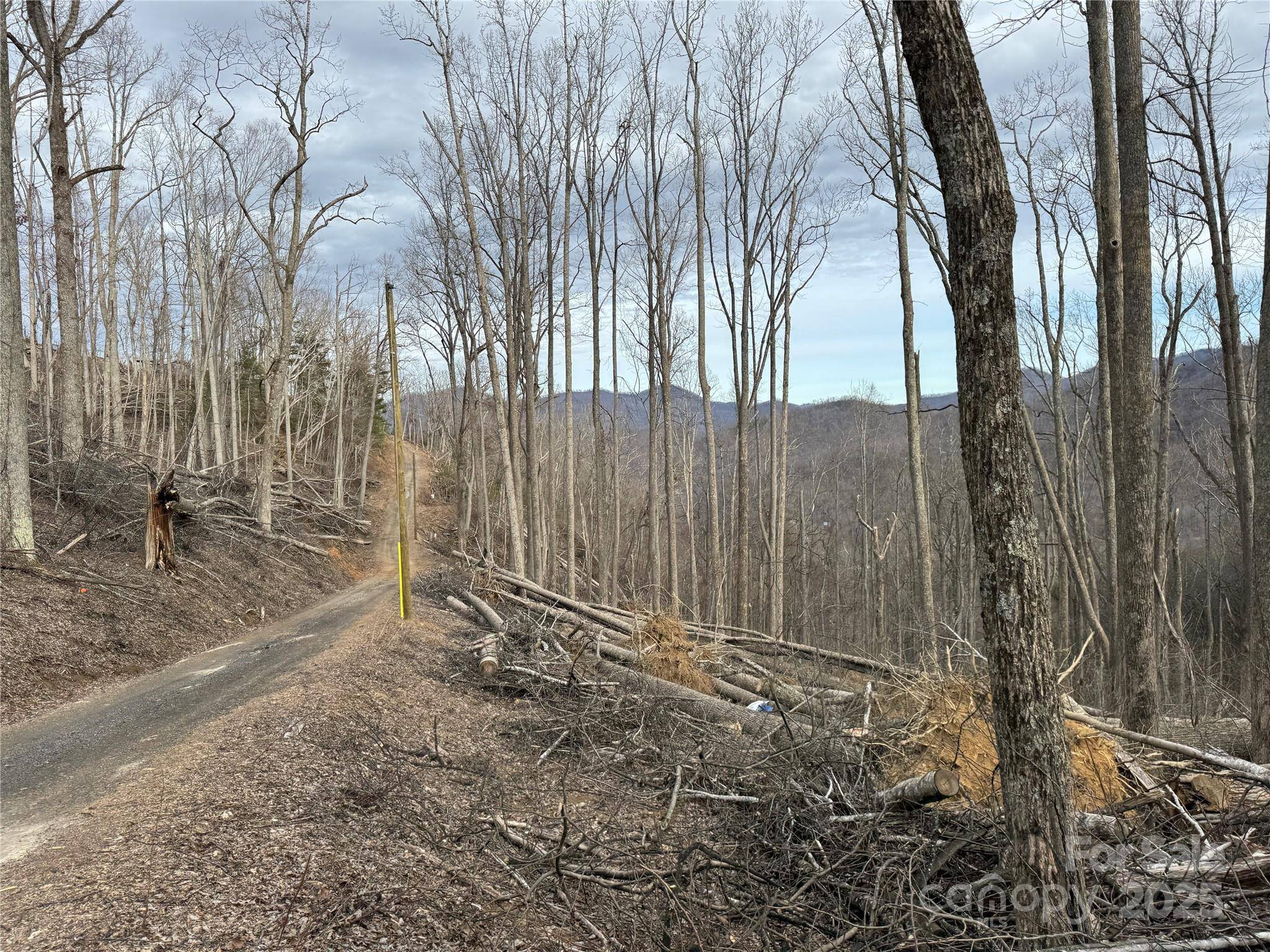 Weaverville, NC 28787,TBD Ox Creek Crest LN
