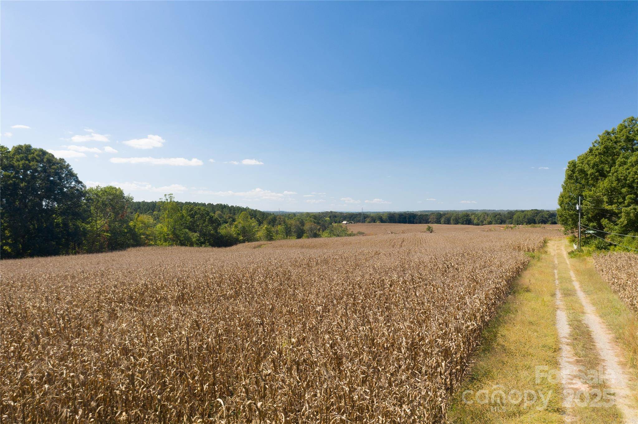 Statesville, NC 28677,0 Carriage RD