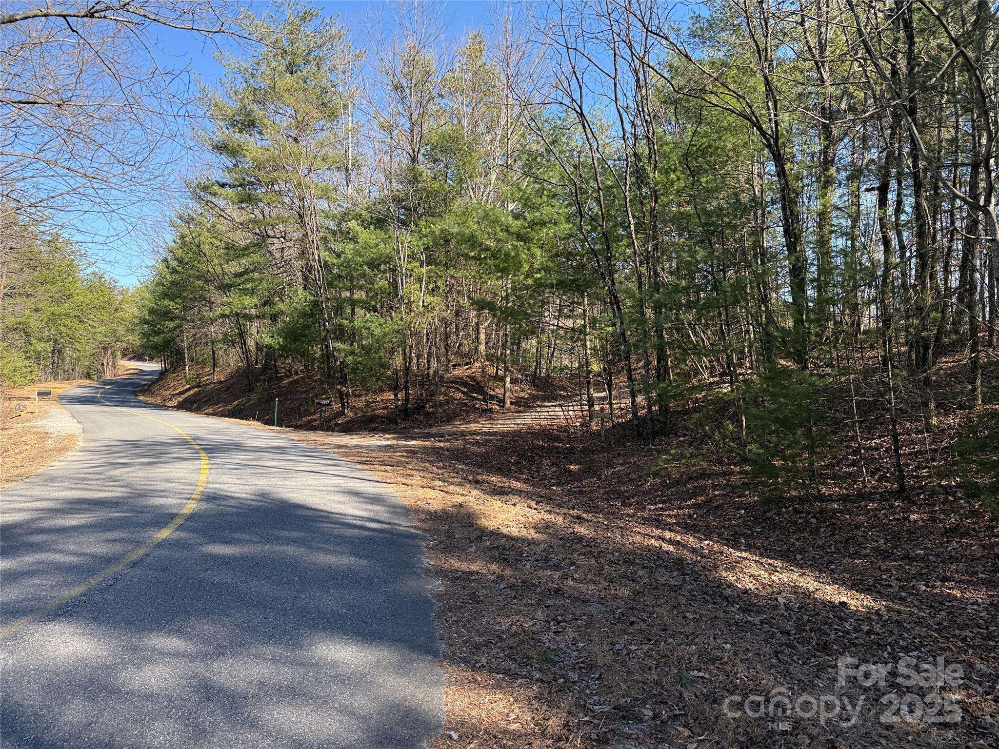 Purlear, NC 28665,TBD Bobcat Mountain RD #5