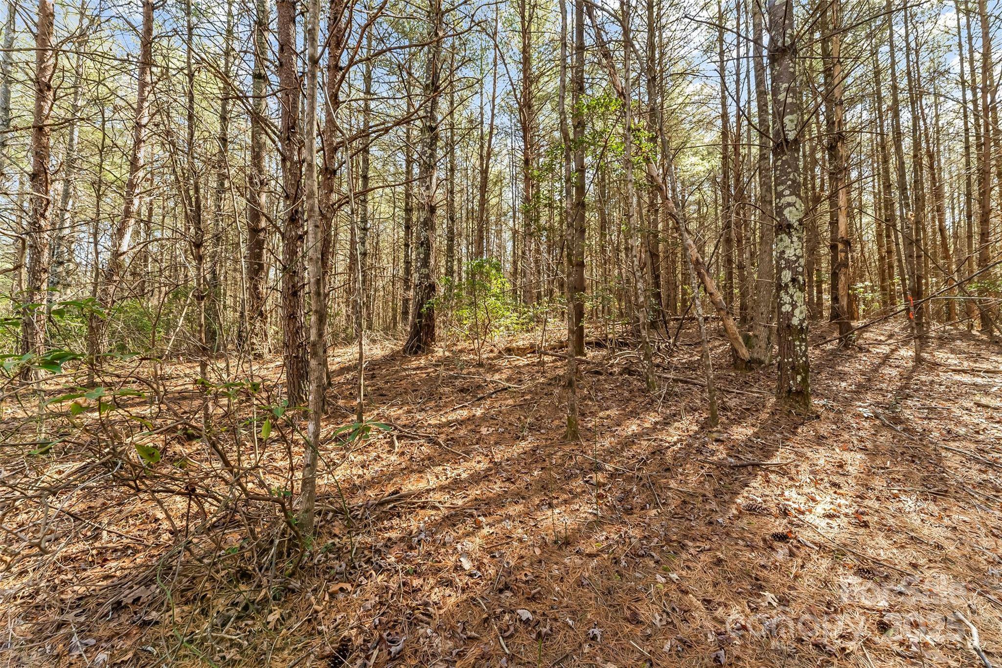 Morganton, NC 28655,1045 Sale DR #7