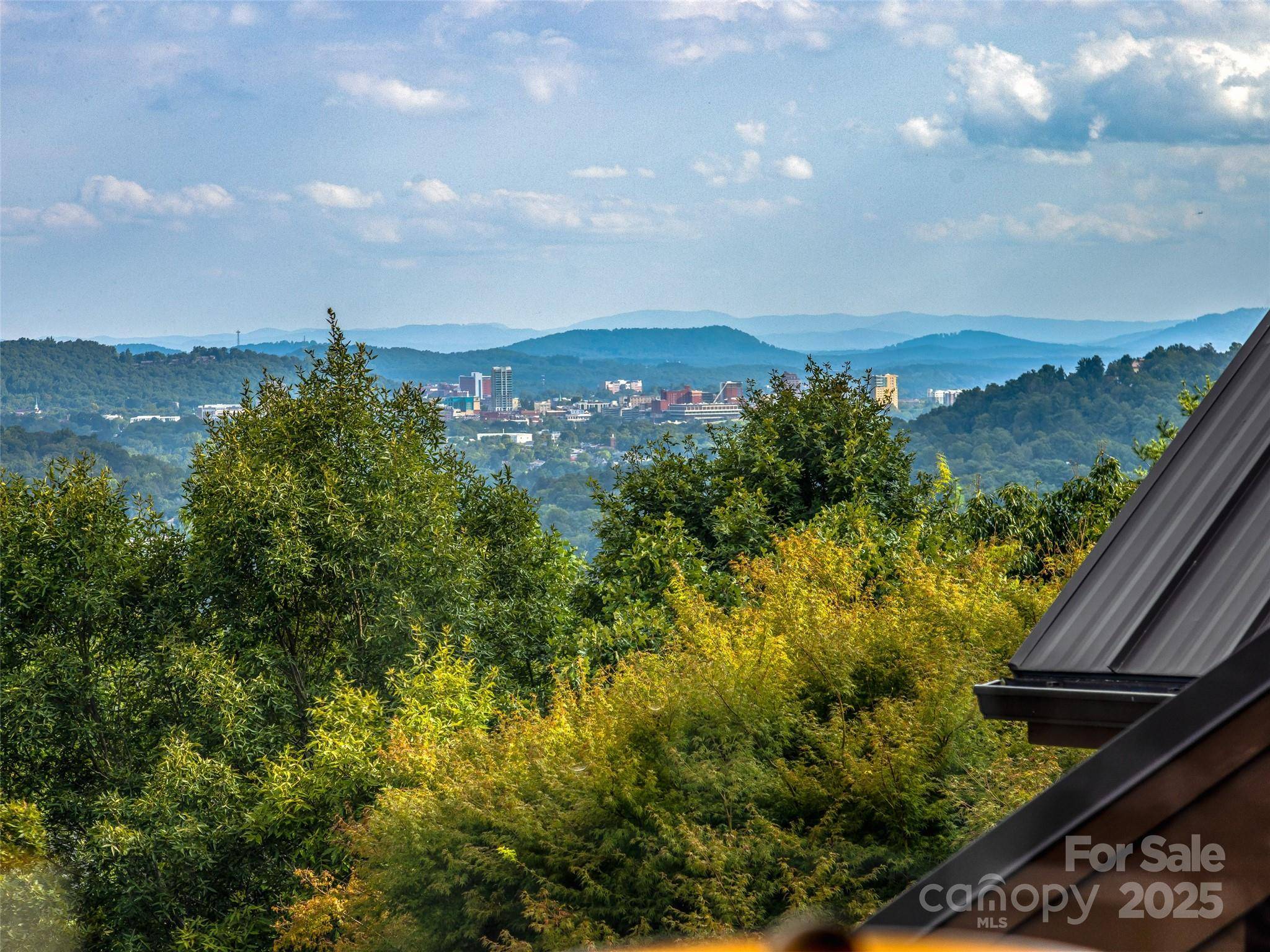 Asheville, NC 28804,10 Beaverbrook CT