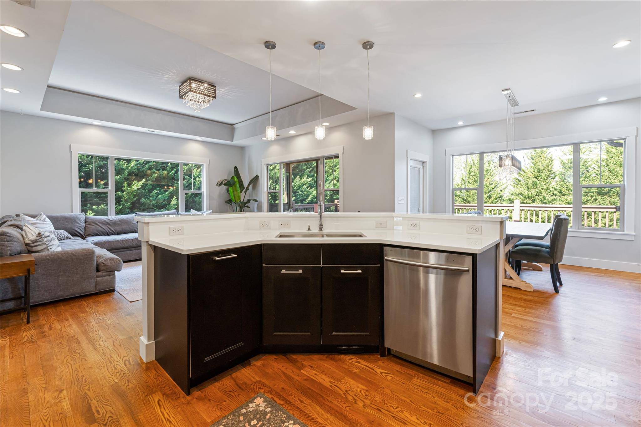Asheville, NC 28805,31 White Pine DR