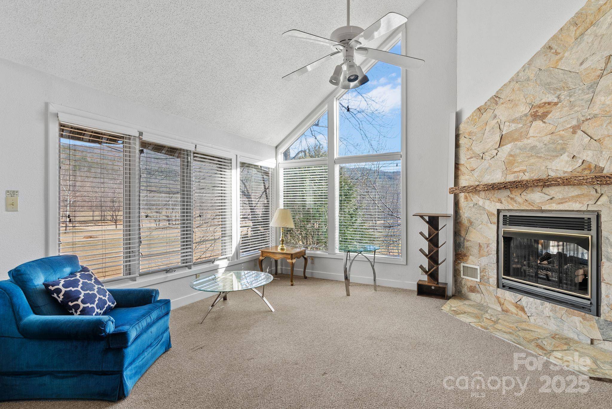 Marion, NC 28752,299 Blue Ridge DR S #3
