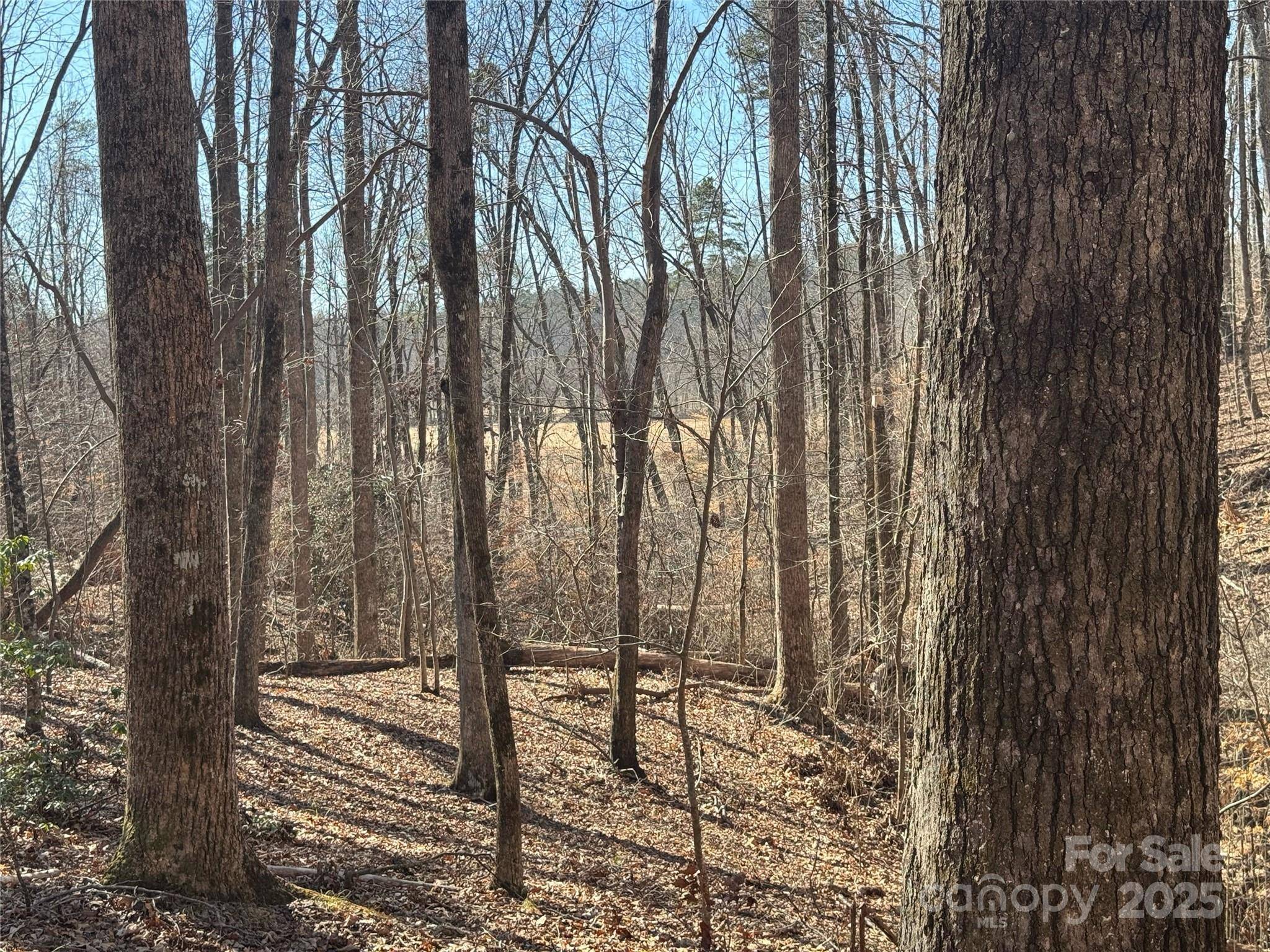 Tryon, NC 28782,206 Westmoreland TRL #8