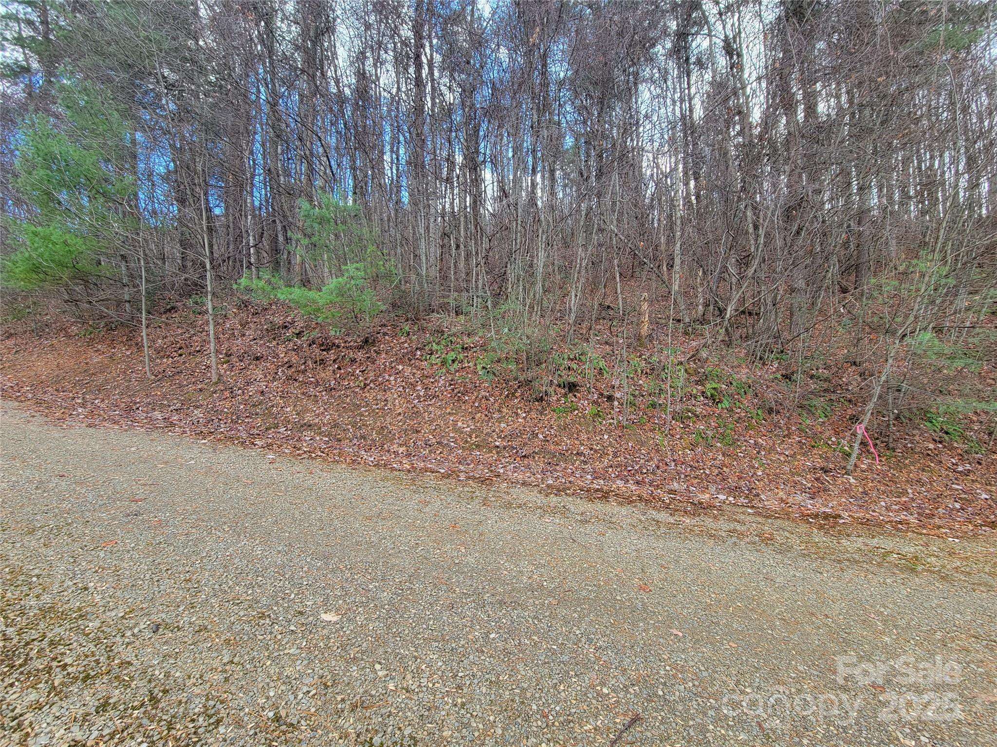 Waynesville, NC 28785,125 Lasso LN #304