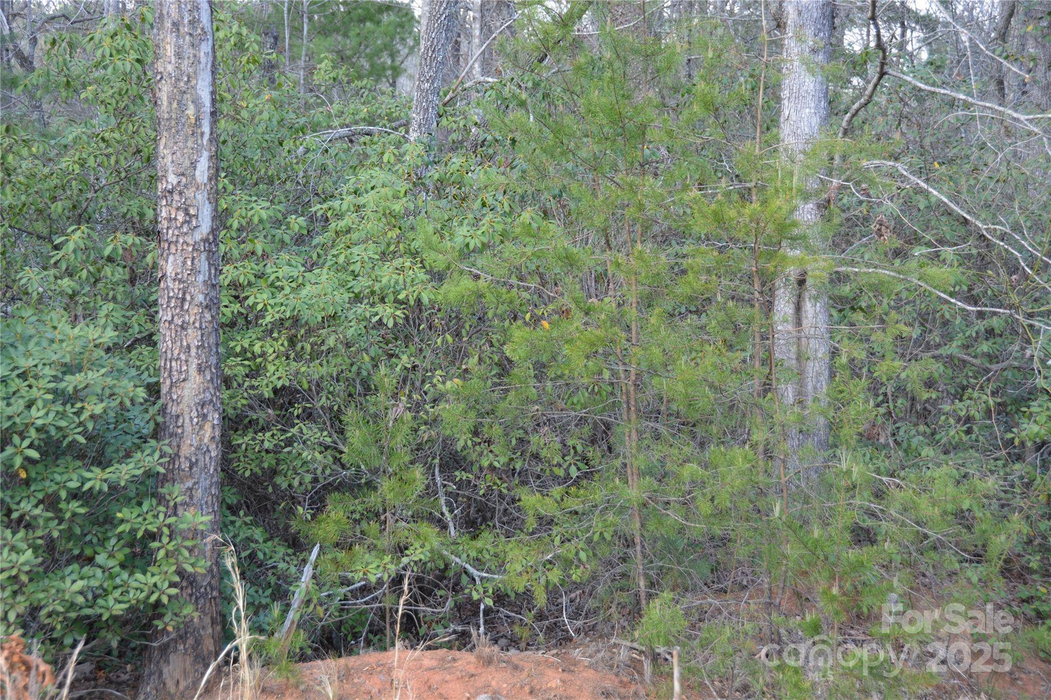 Marion, NC 28752,118 Crestline DR #90