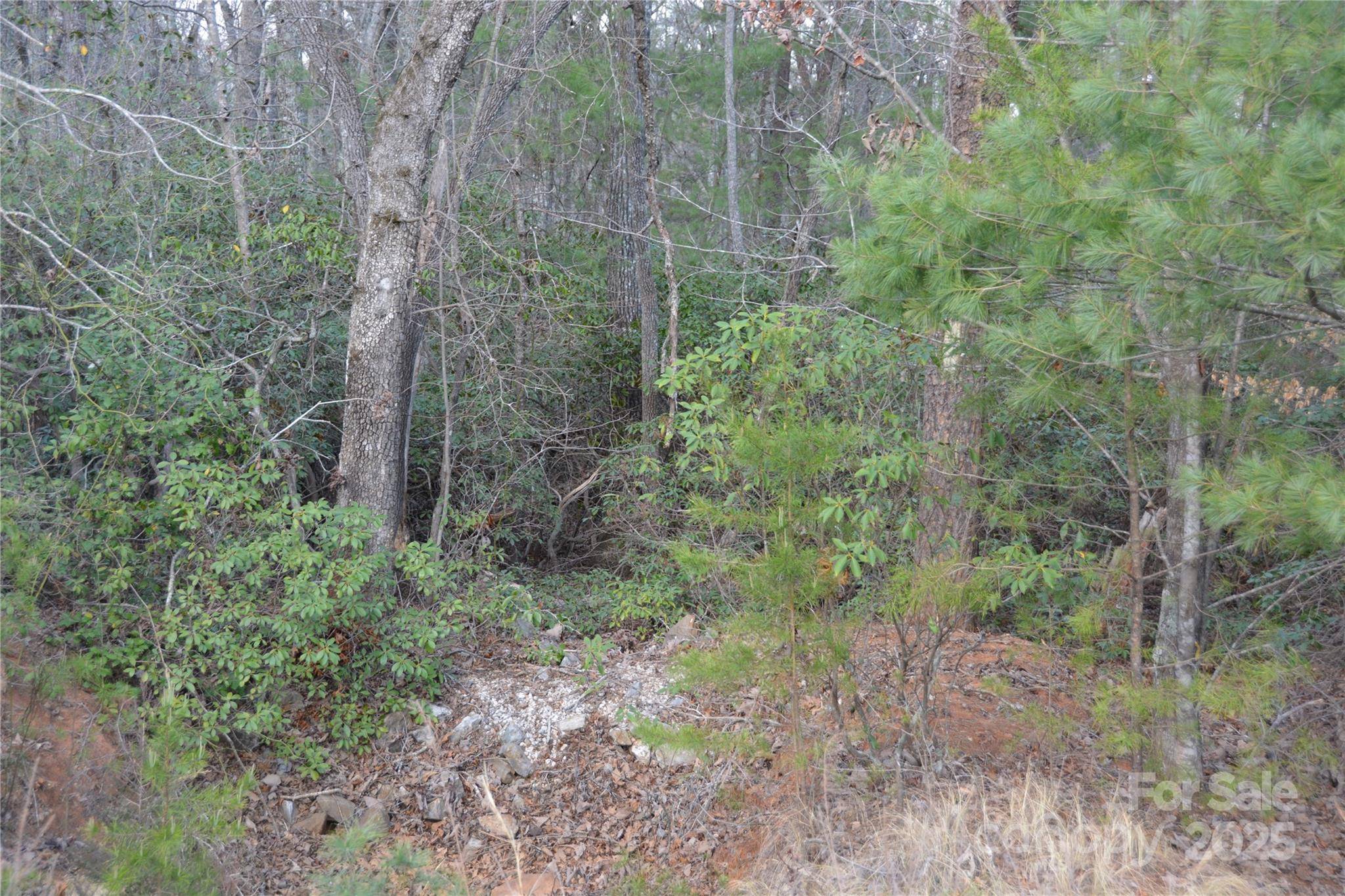 Marion, NC 28752,118 Crestline DR #90