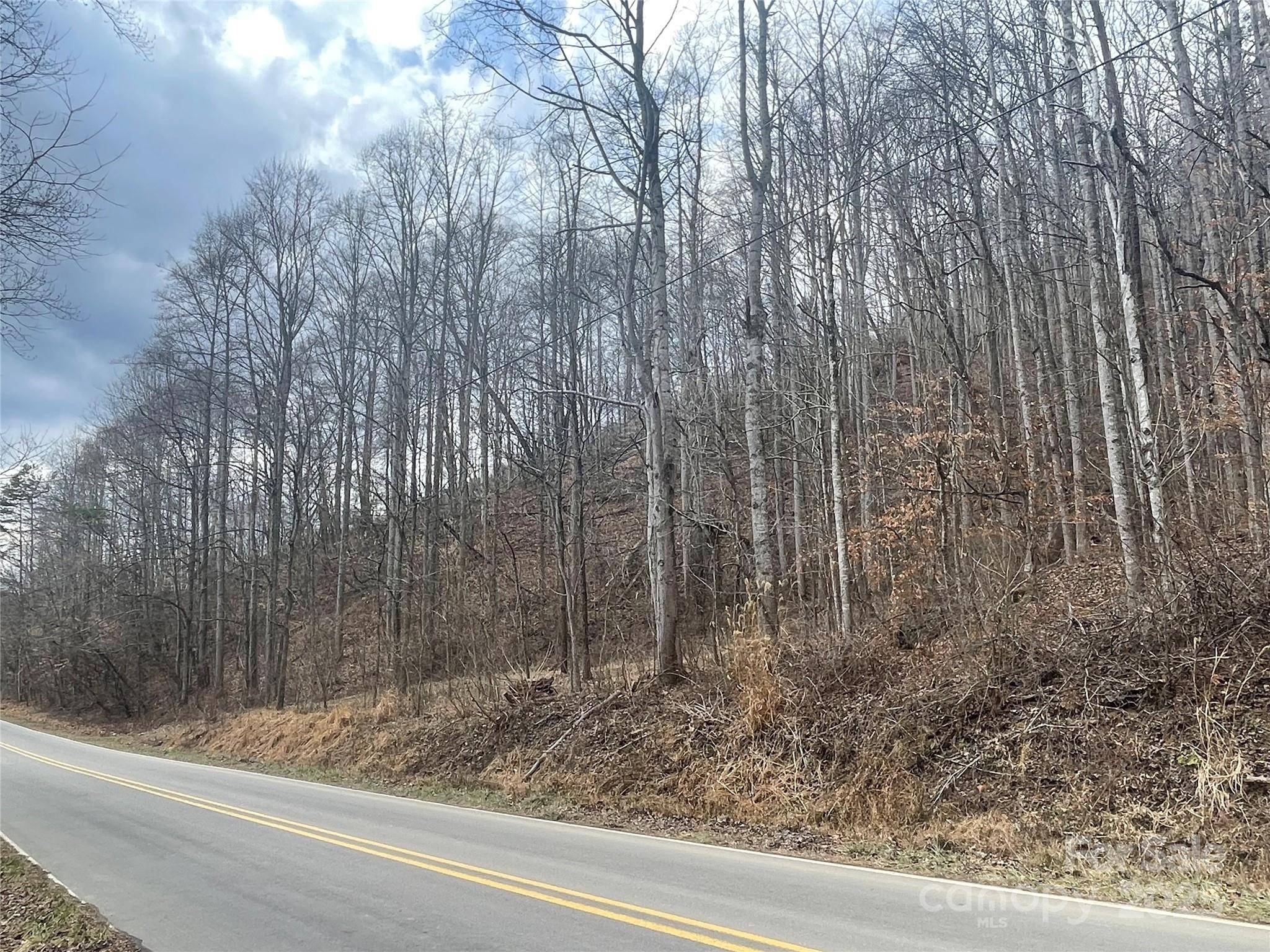 Barnardsville, NC 28709,000 Martins Creek RD