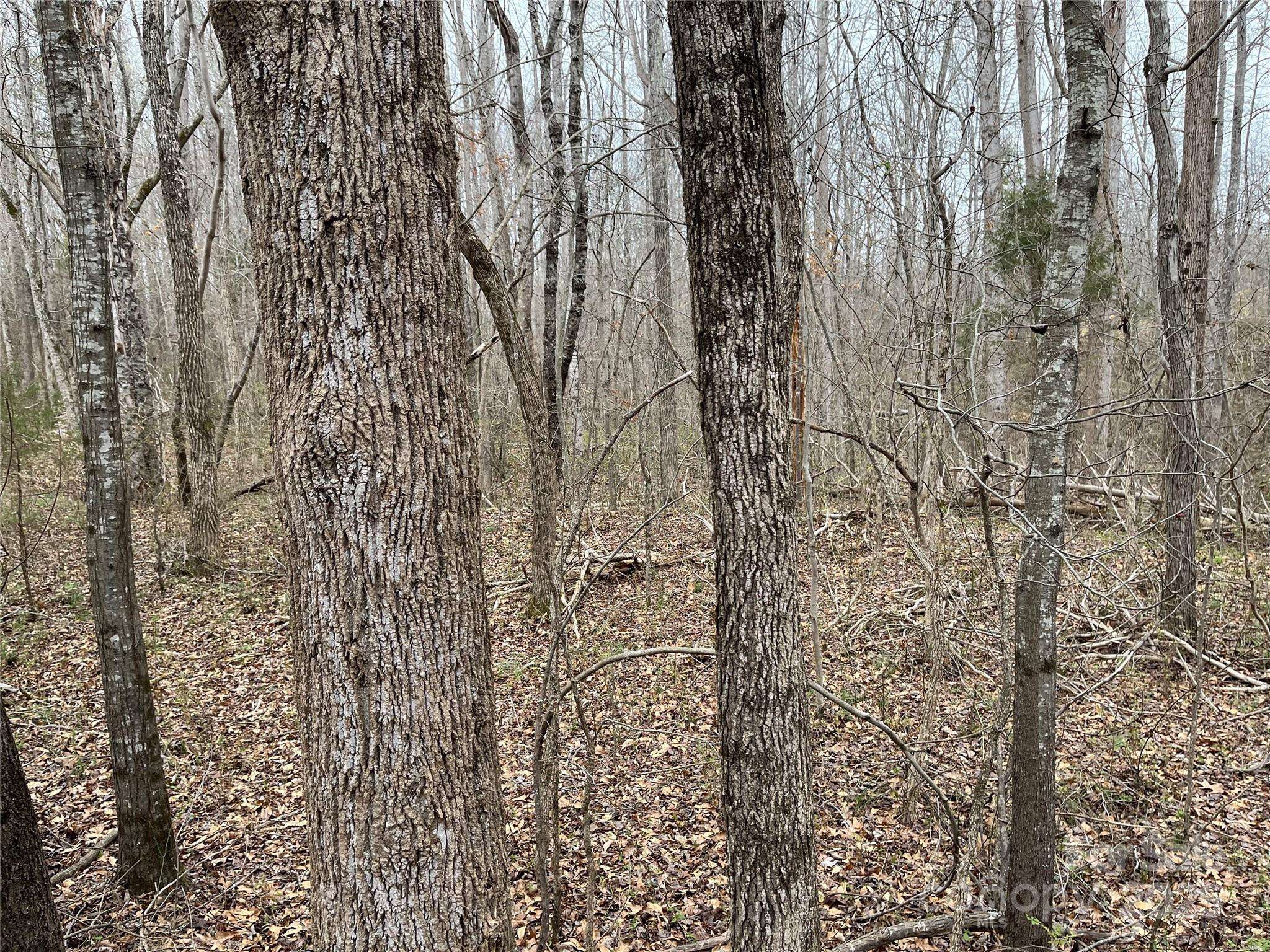 Shelby, NC 28152,00 Davis RD