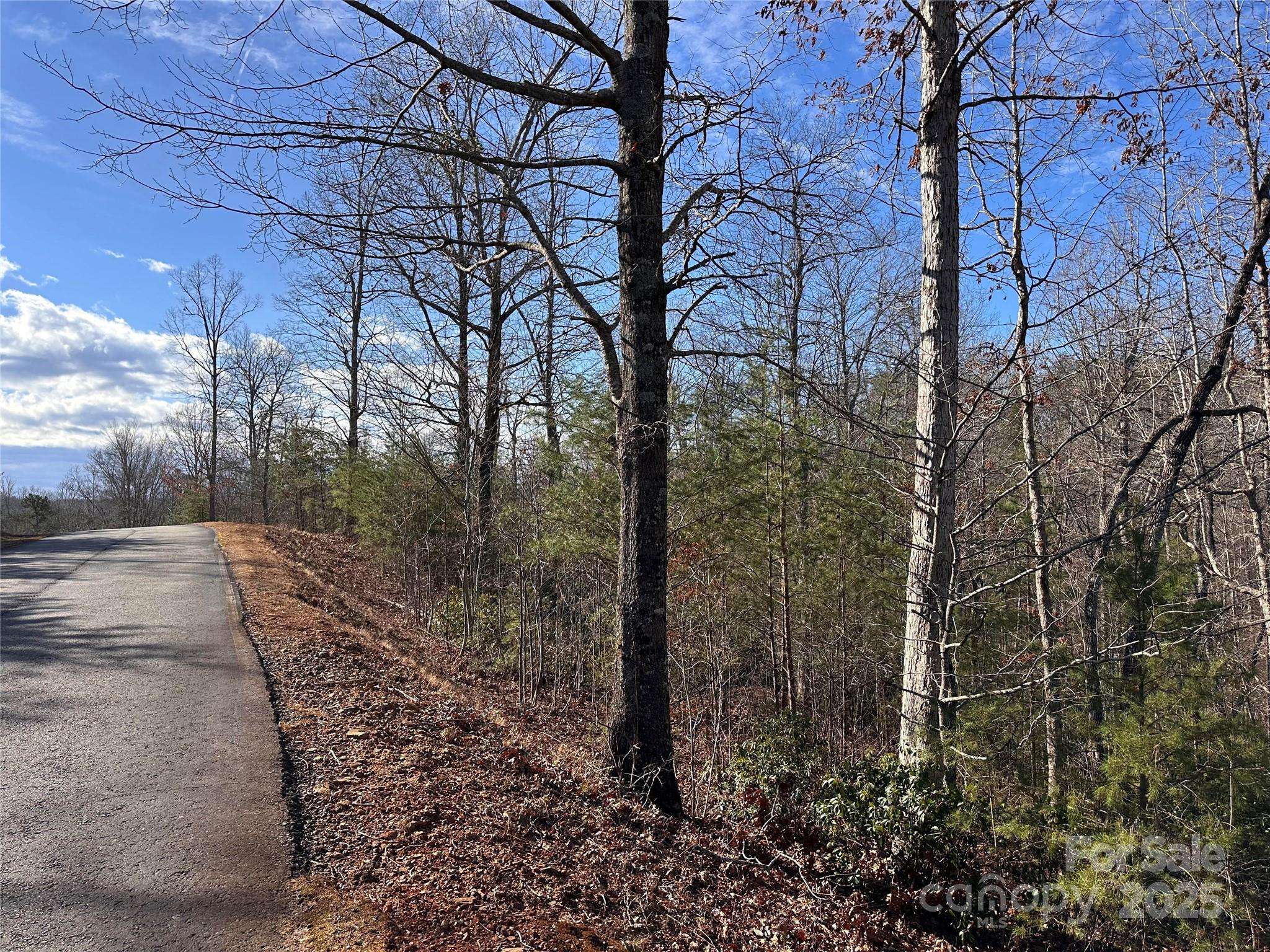 Lake Lure, NC 28746,0 Rock Ledge DR