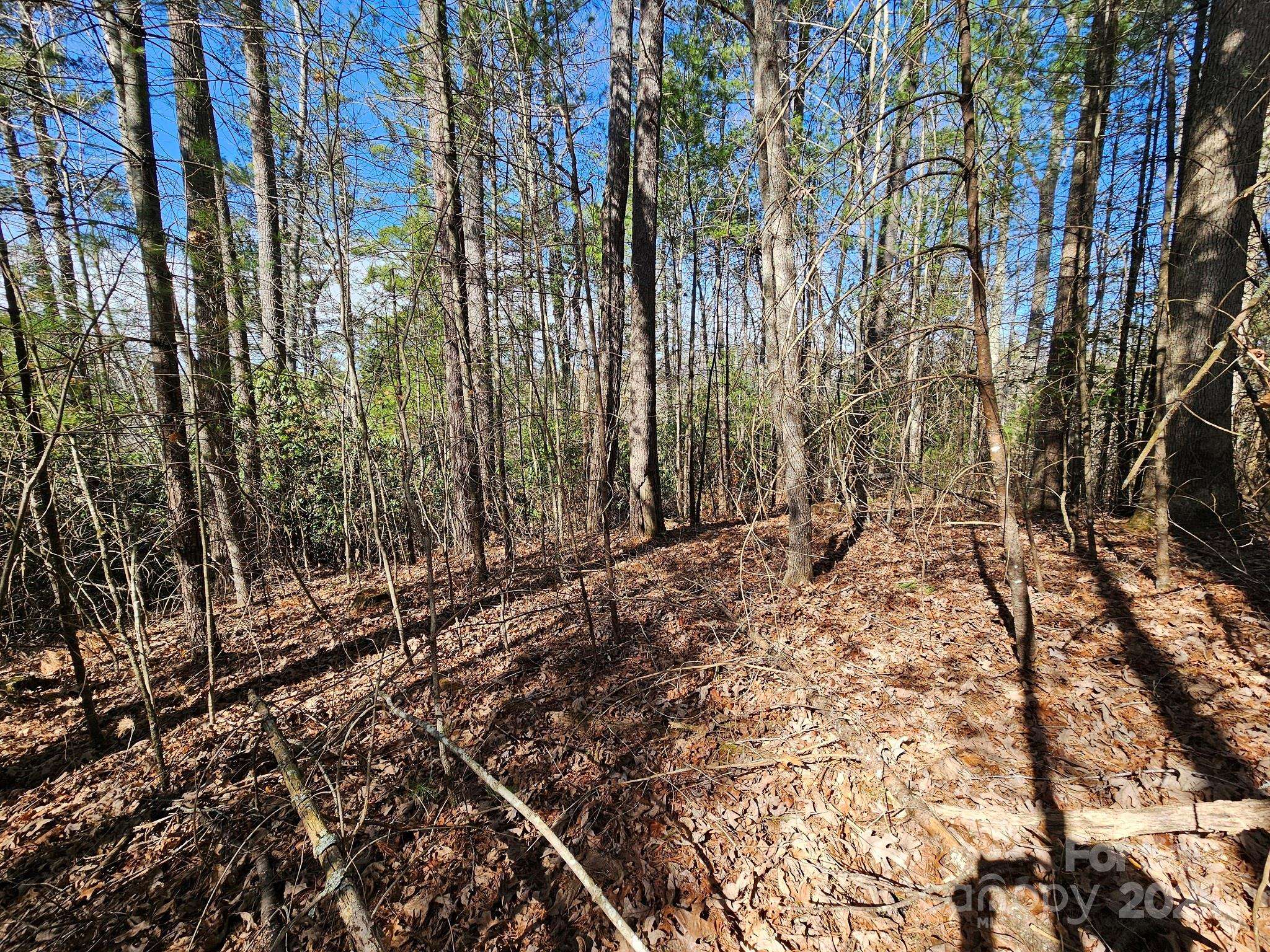 Waynesville, NC 28785,00 Chenoa RDG