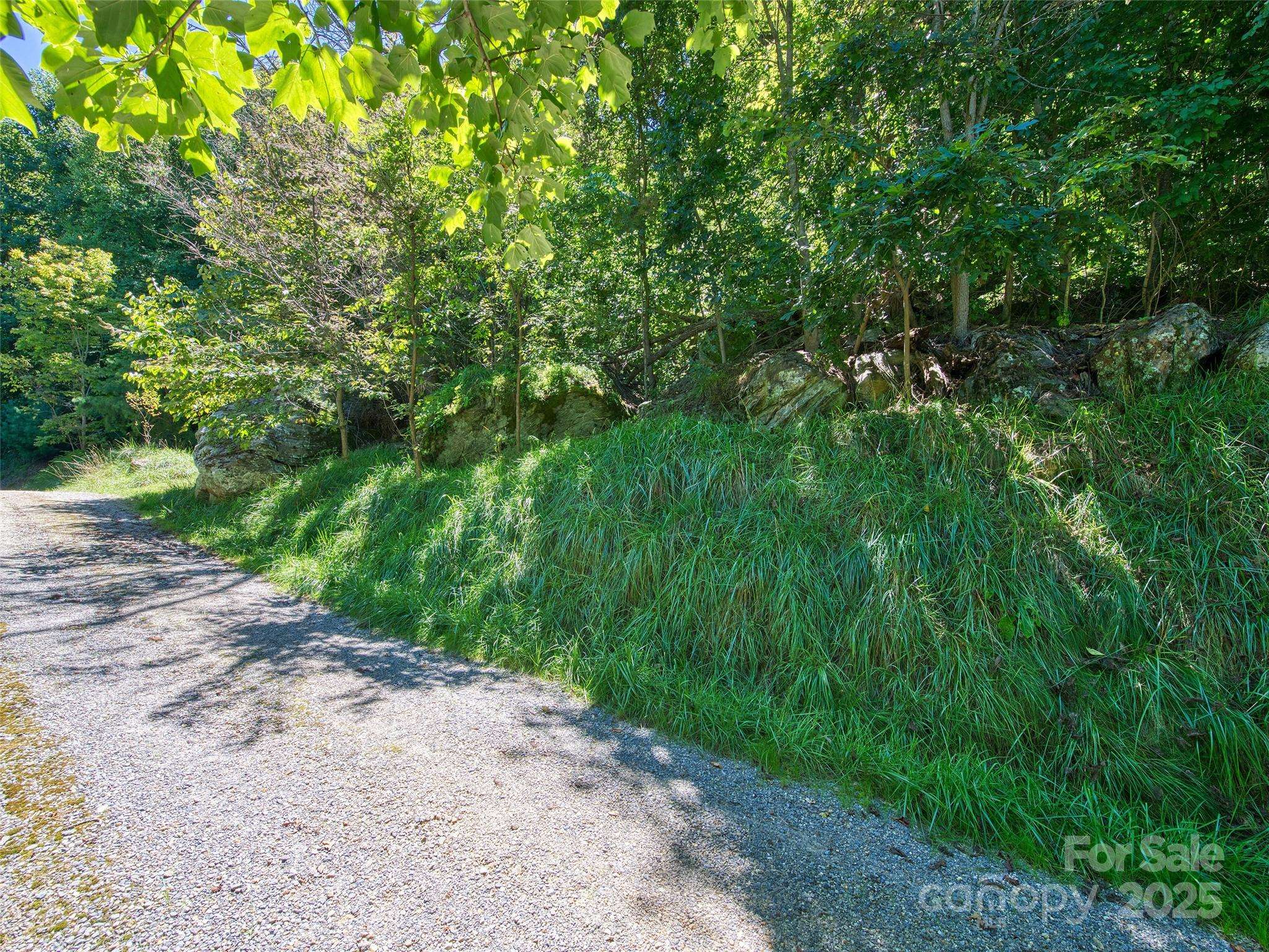 Waynesville, NC 28786,00 Yellow Locust DR