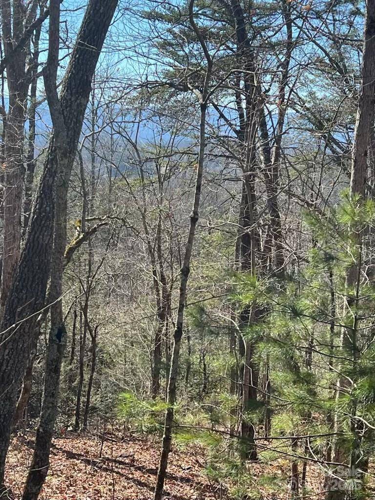 Franklin, NC 28734,00 Timberland TRL