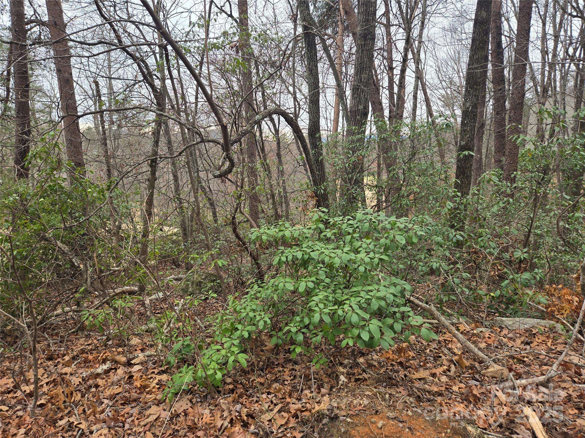 Lake Lure, NC 28746,Lot 28 Roundabout RD