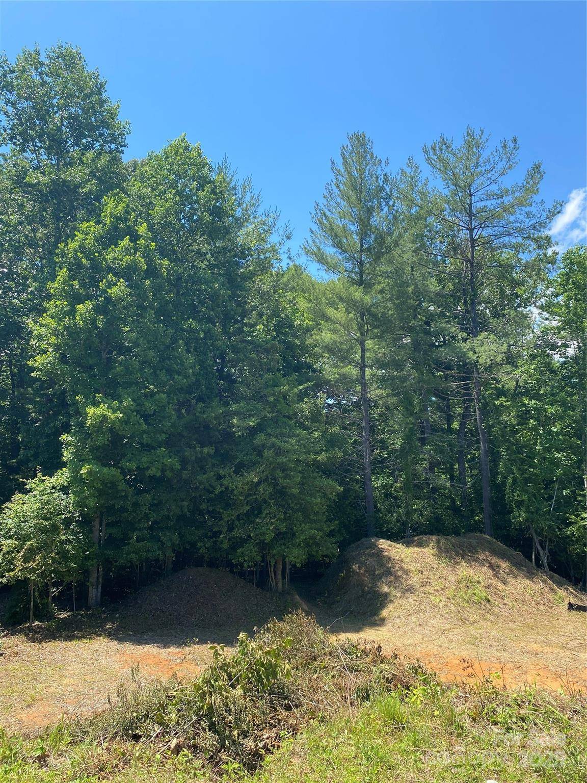 Hendersonville, NC 28739,166 Williams Meadow LOOP