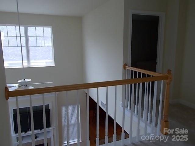 Charlotte, NC 28273,7411 White Elm LN