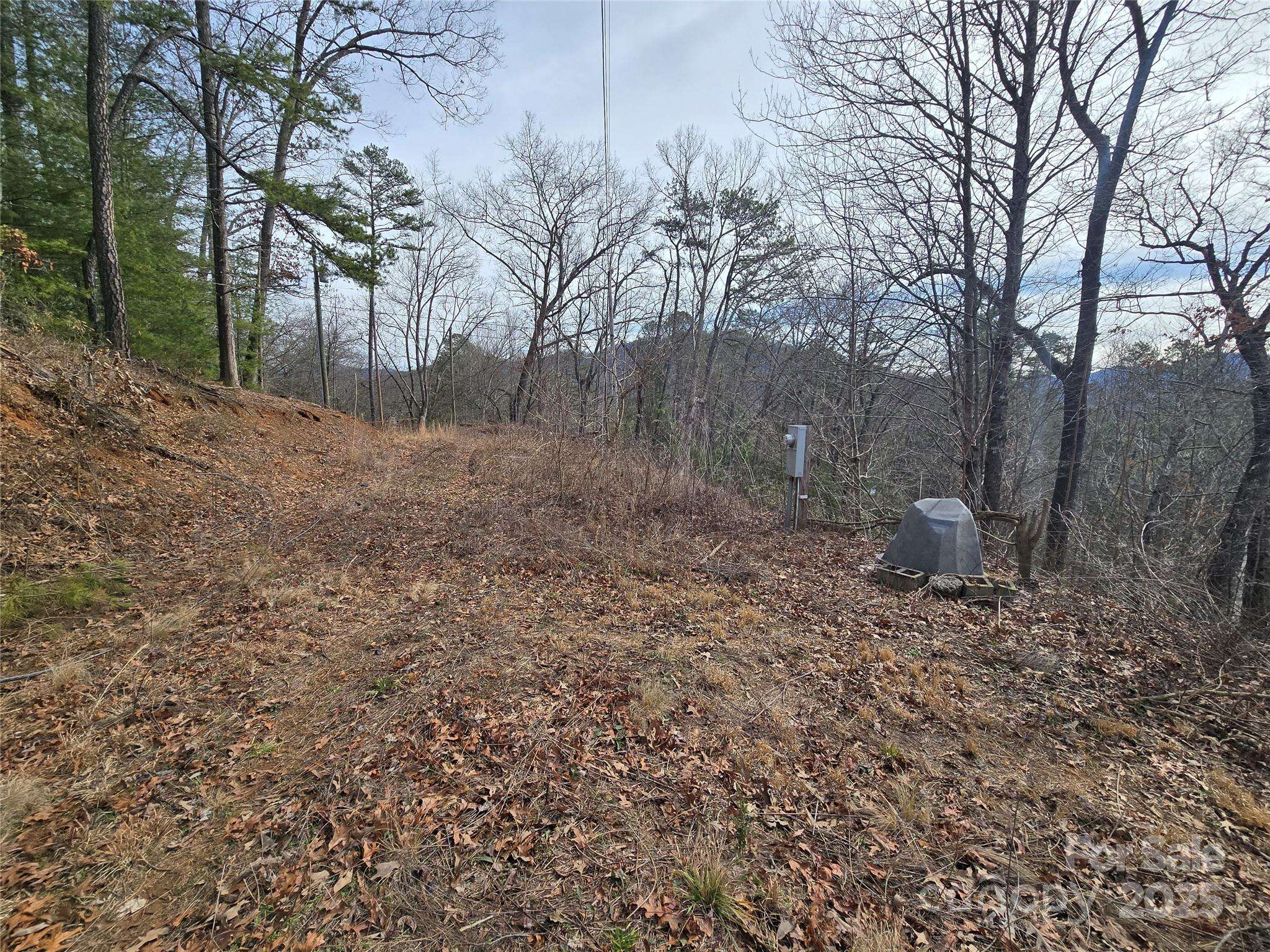 Dillsboro, NC 28725,425 Crocus LN