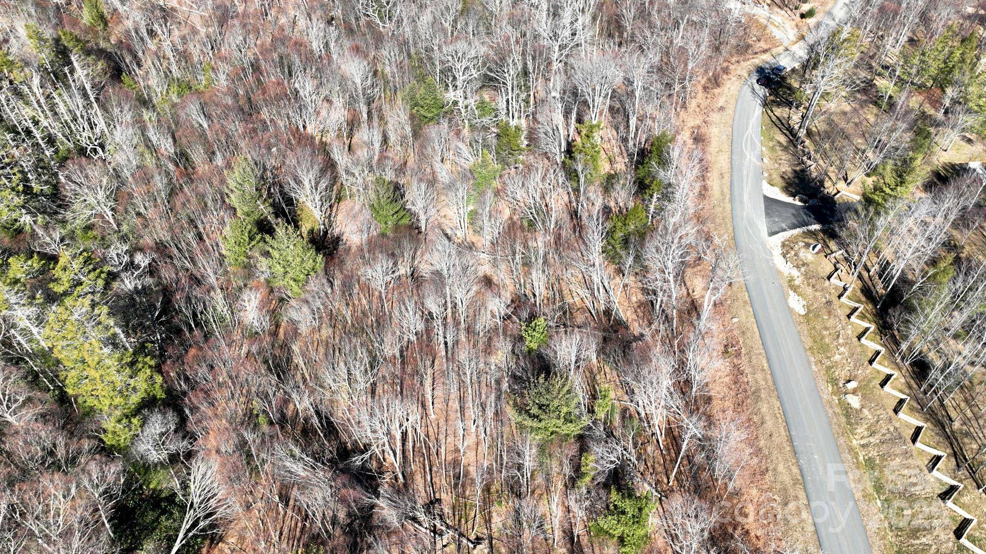 Banner Elk, NC 28604,68 Eagle Pass None