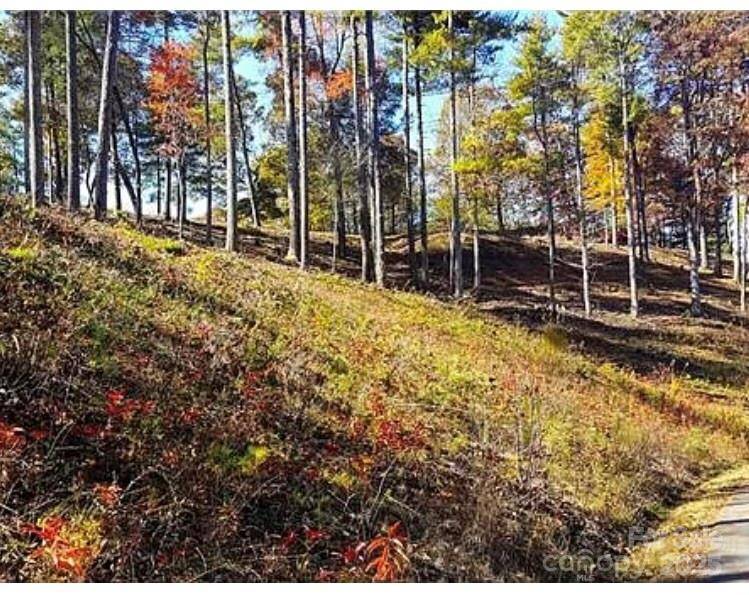Leicester, NC 28748,31 Timber Hill DR #19