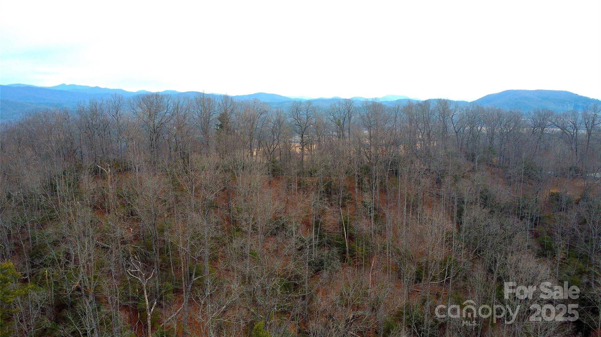Pisgah Forest, NC 28768,TBD Kildrummy DR