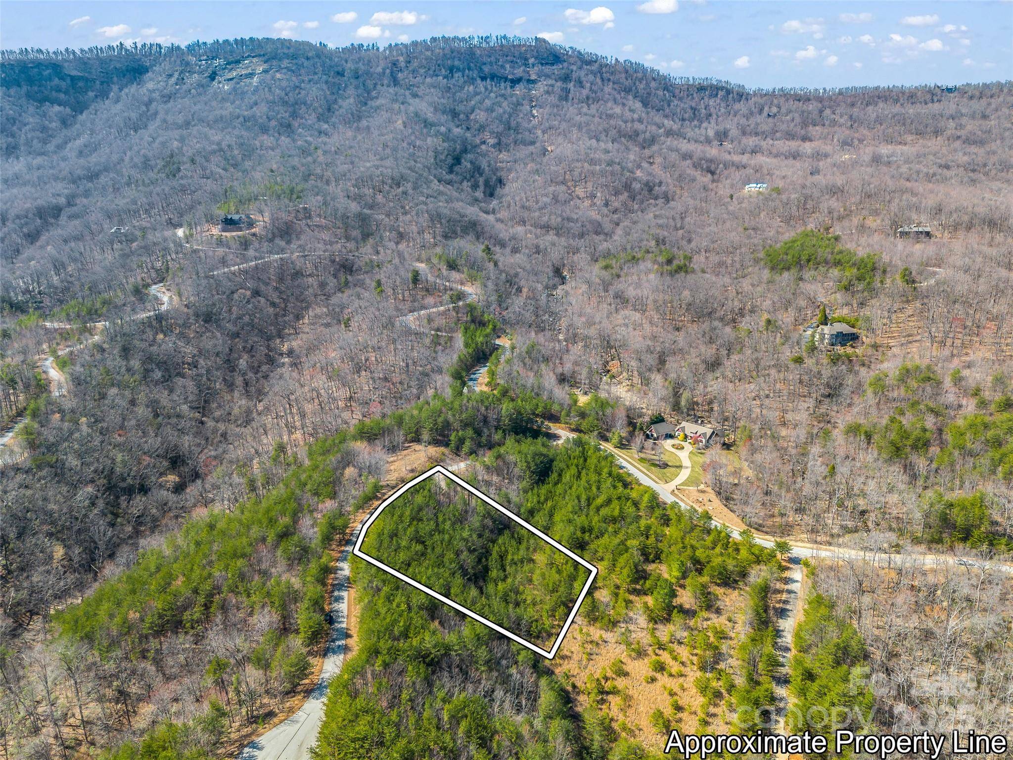 Mill Spring, NC 28756,151 Birkdale DR